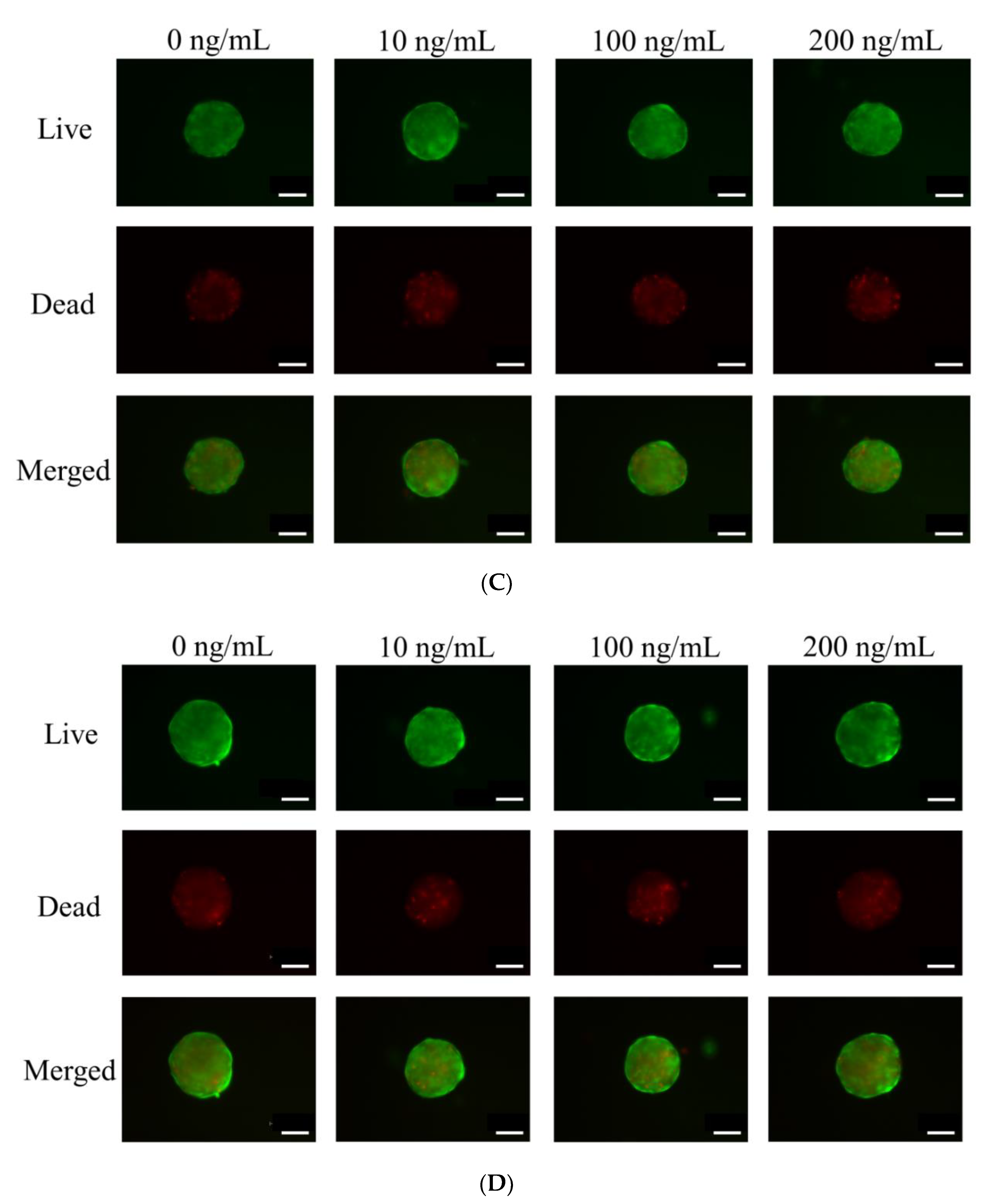 Medicina 56 00389 g003b