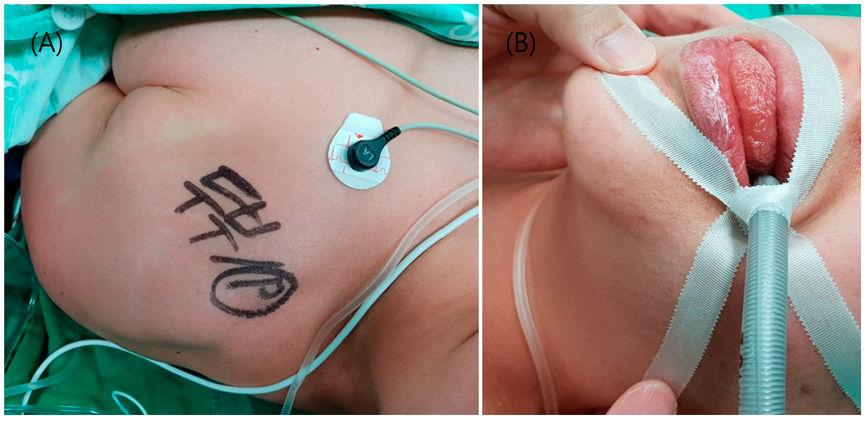 Medicina 56 00394 g001