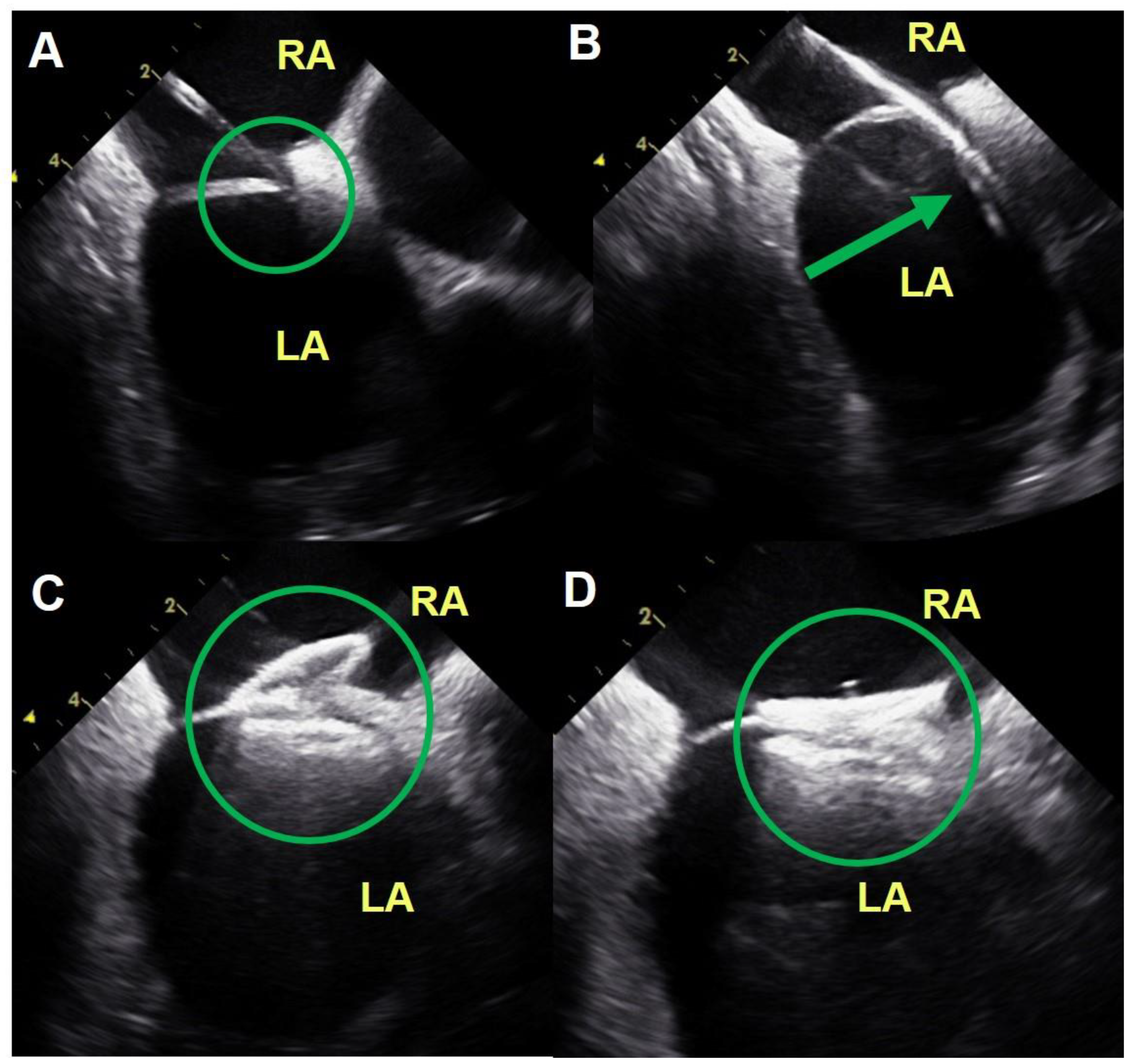 Medicina 56 00401 g002