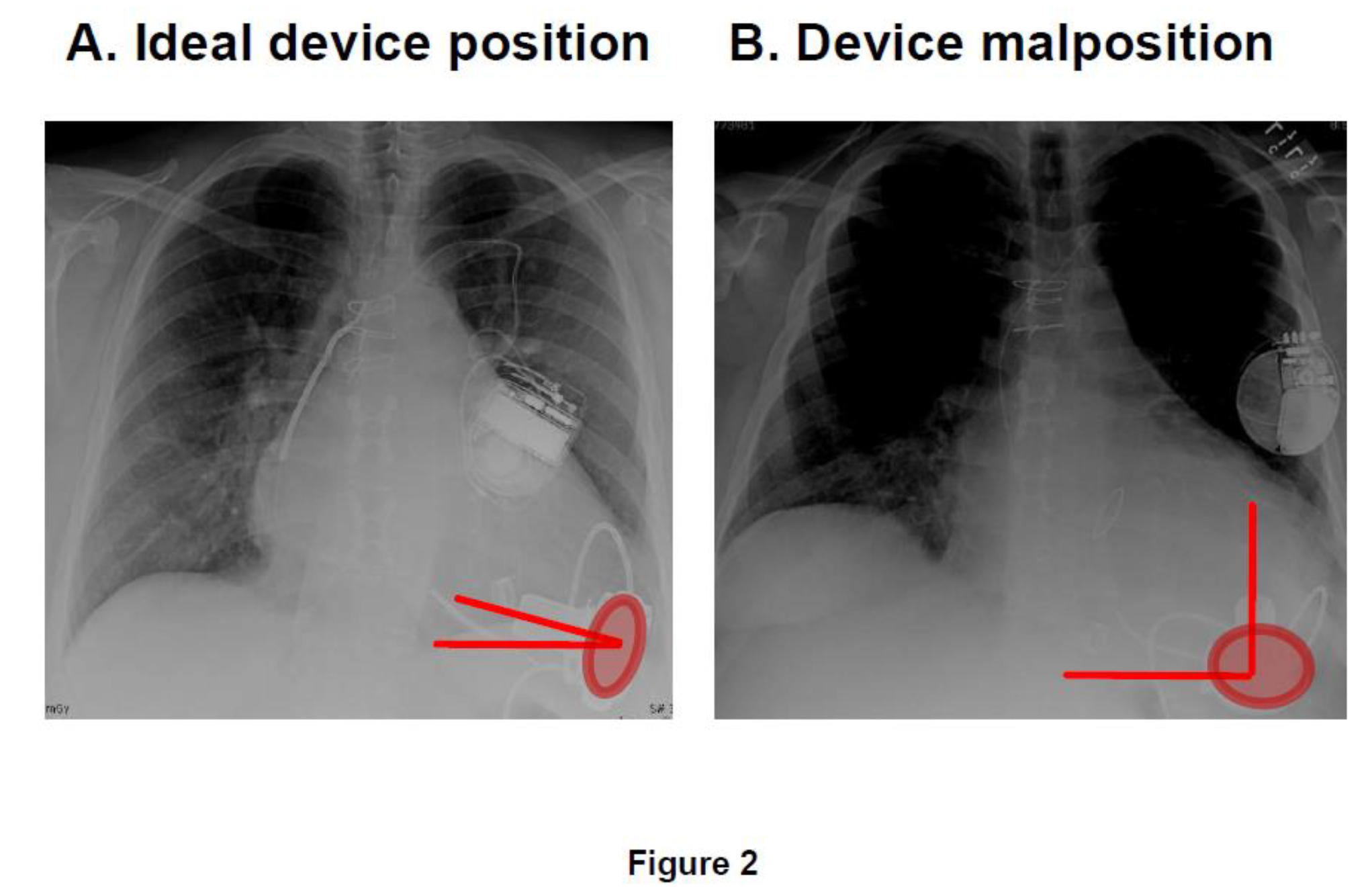 Medicina 56 00413 g002