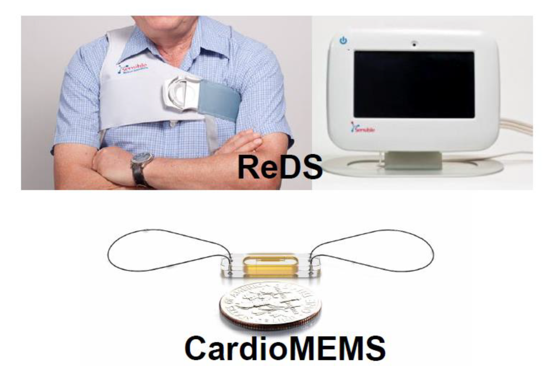 Medicina 56 00413 g006
