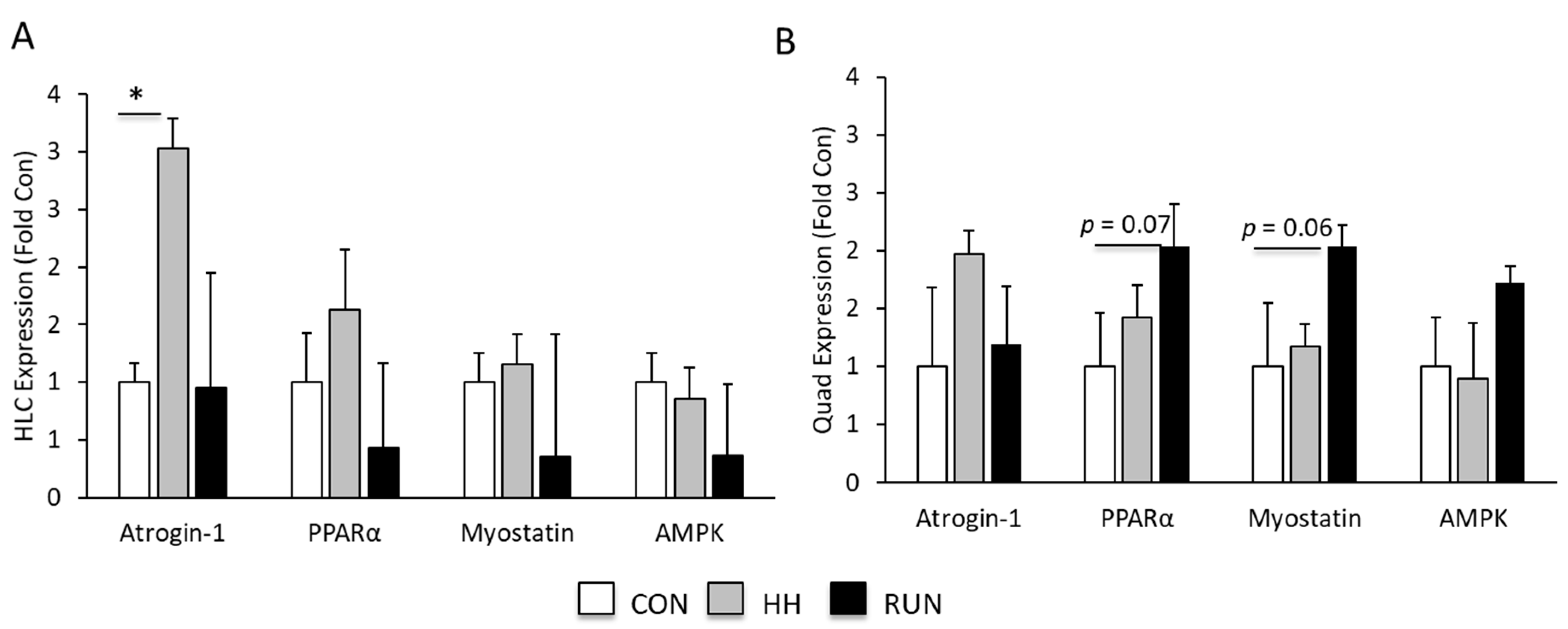 Medicina 56 00446 g005
