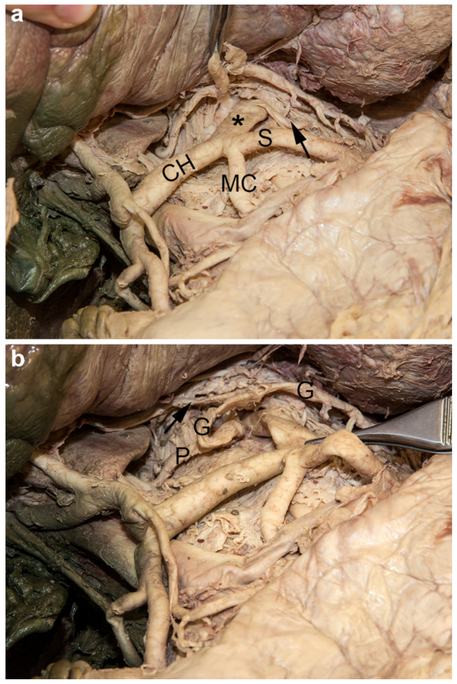 Medicina 56 00449 g002
