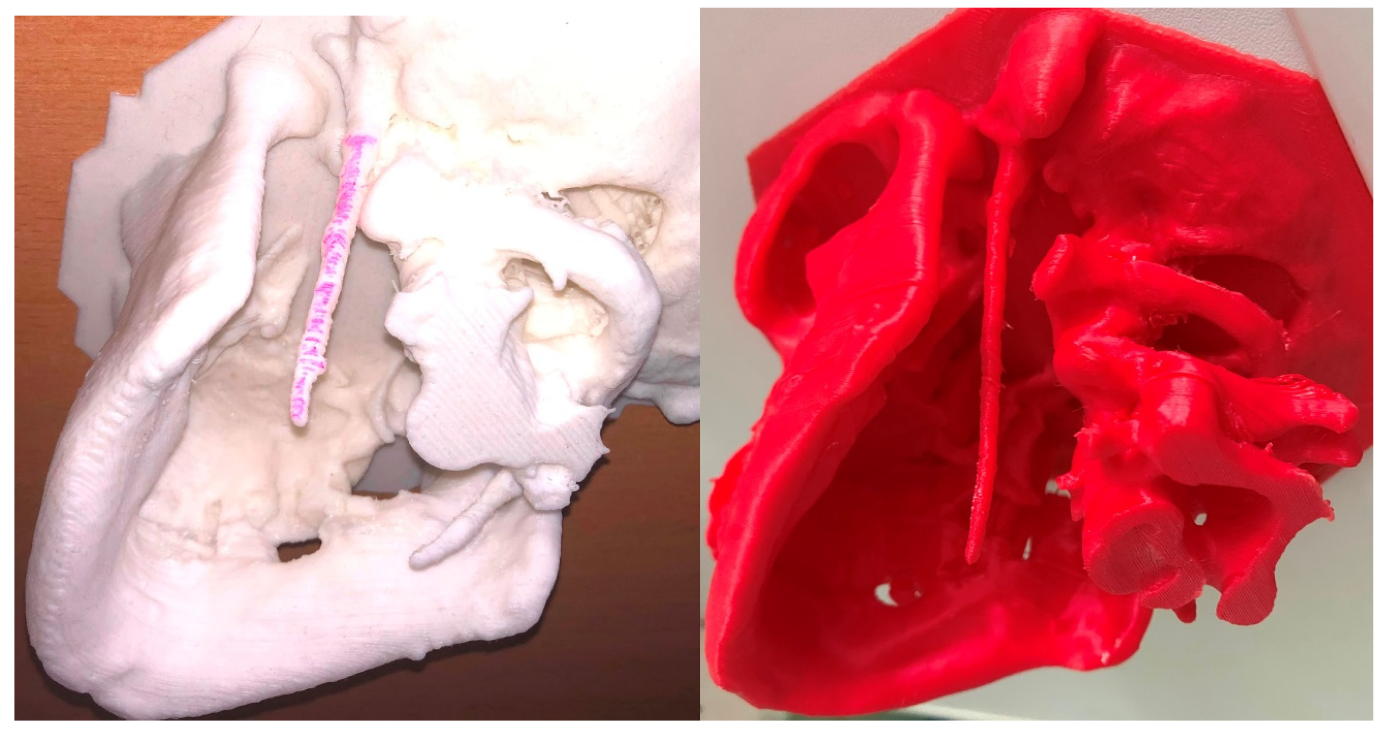 Medicina 56 00458 g004