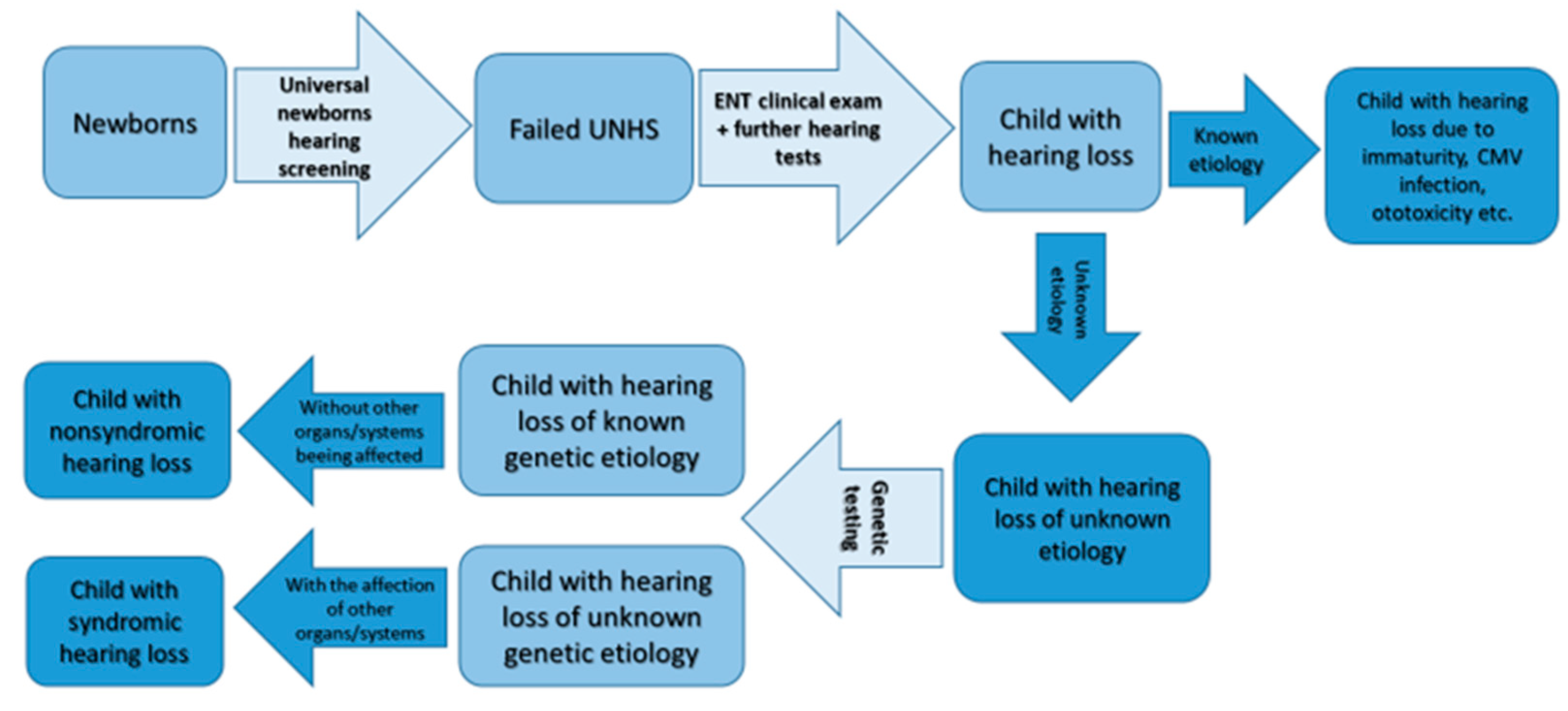 Medicina 56 00471 g002 Medicina 56 00471 g002