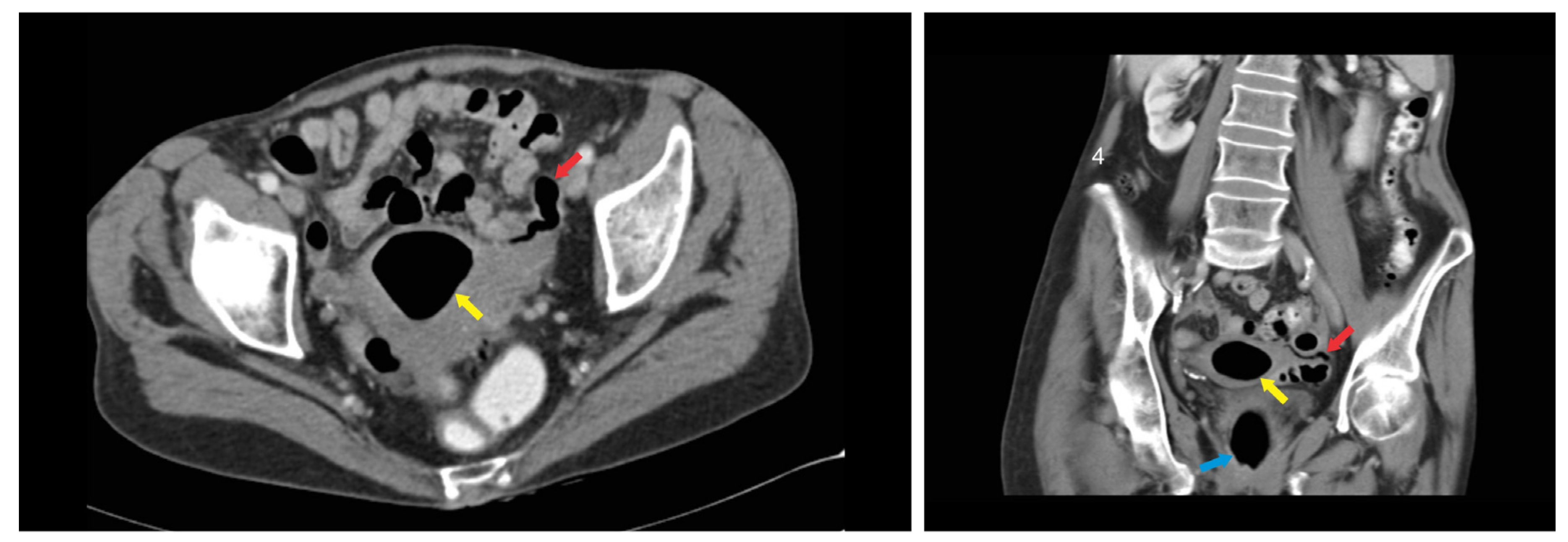 Medicina 56 00477 g001