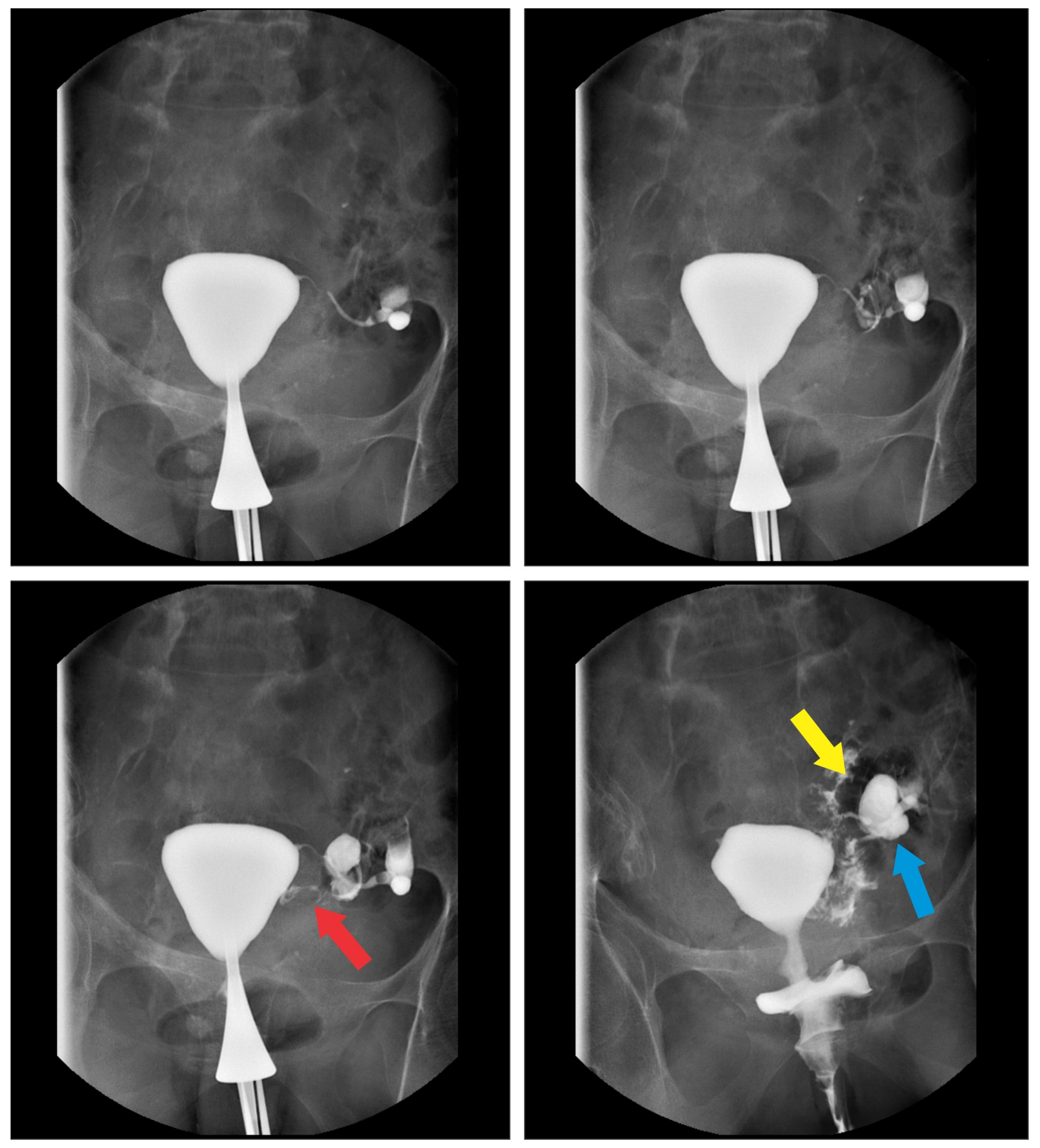 Medicina 56 00477 g002