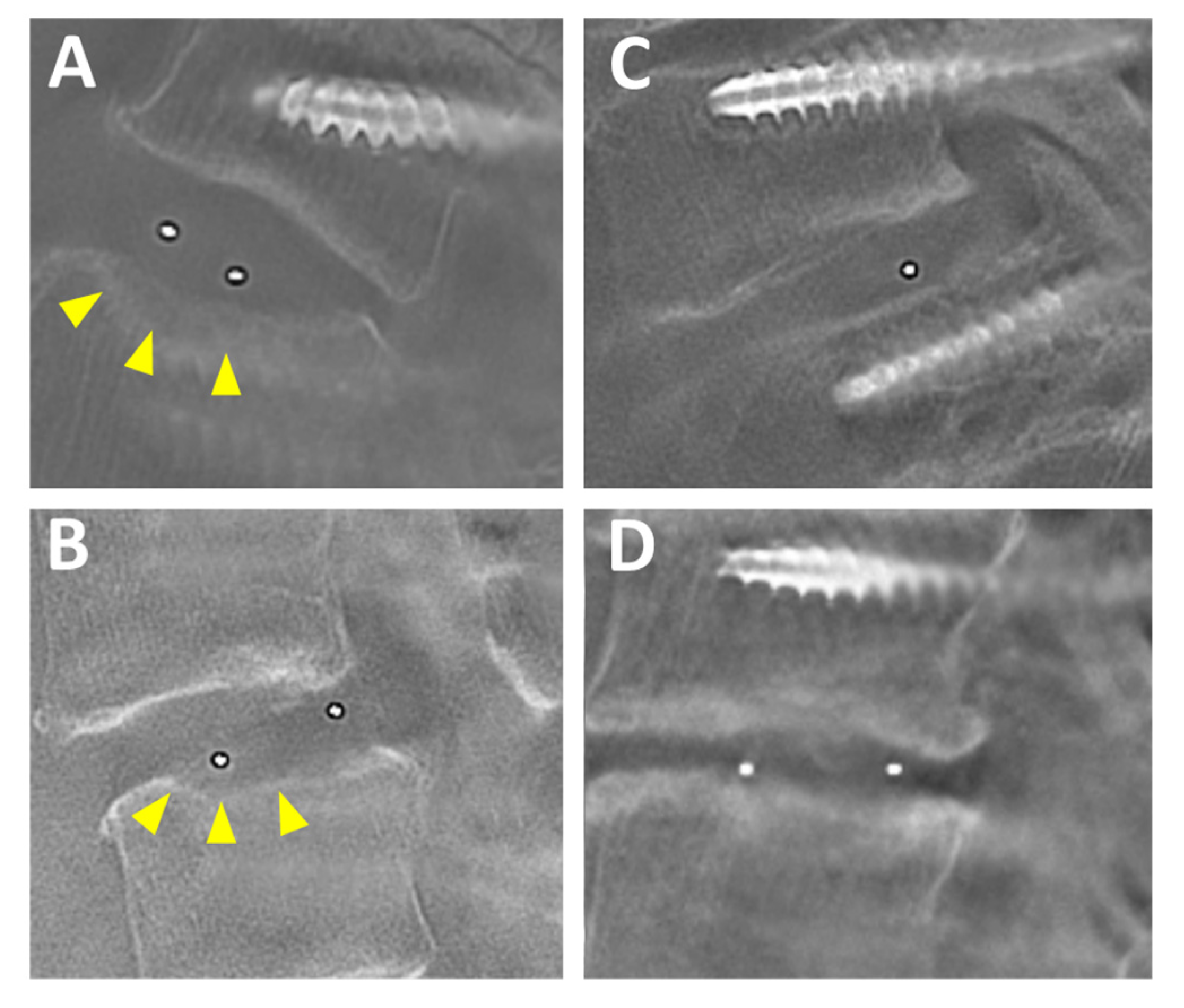 Medicina 56 00478 g006