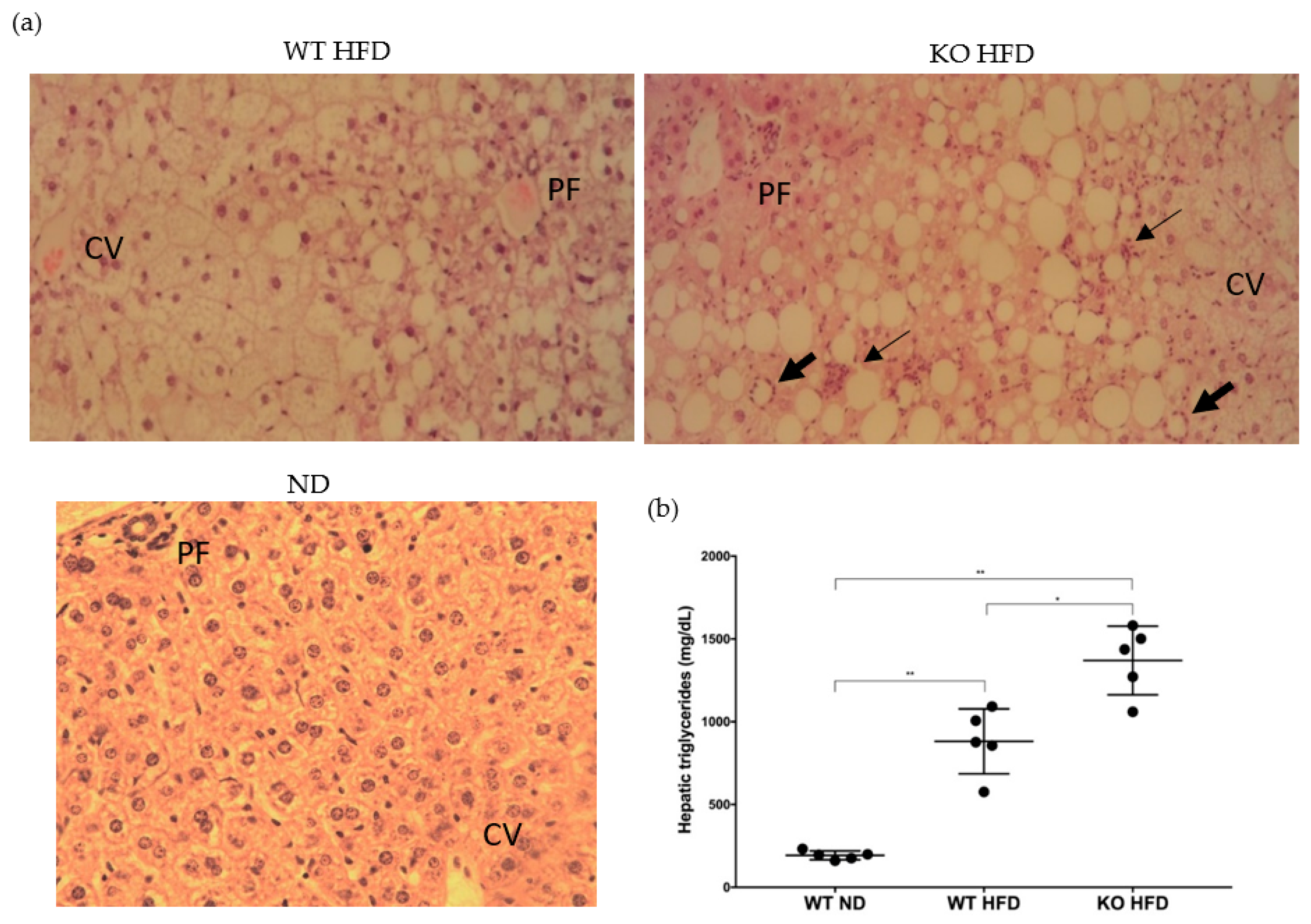 Medicina 56 00484 g002 Medicina 56 00484 g002