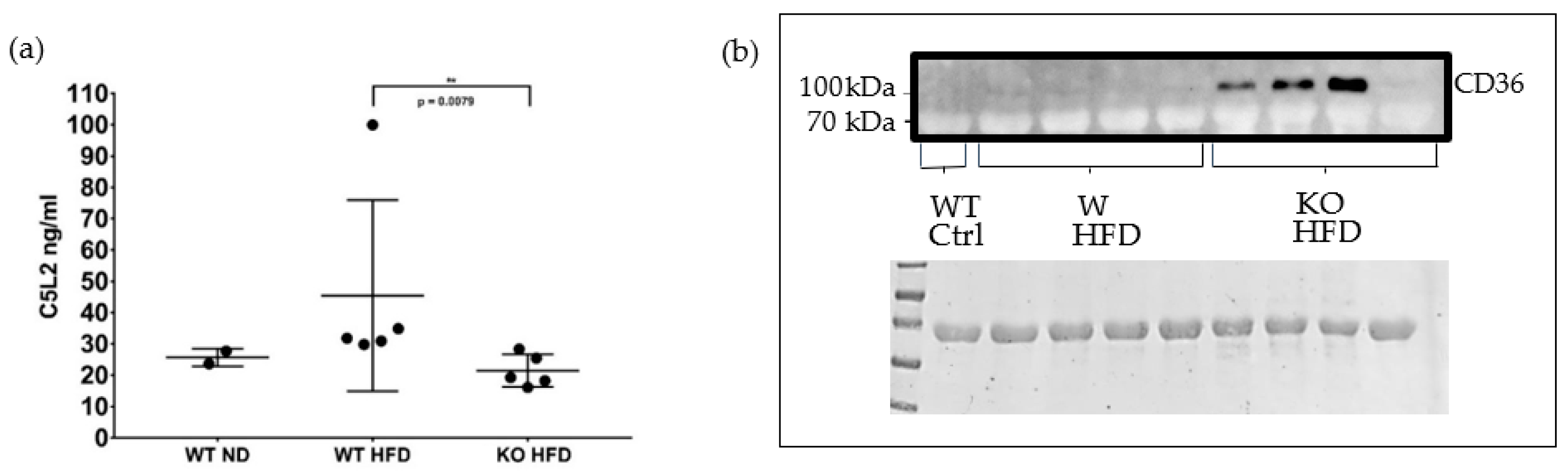 Medicina 56 00484 g003 Medicina 56 00484 g003