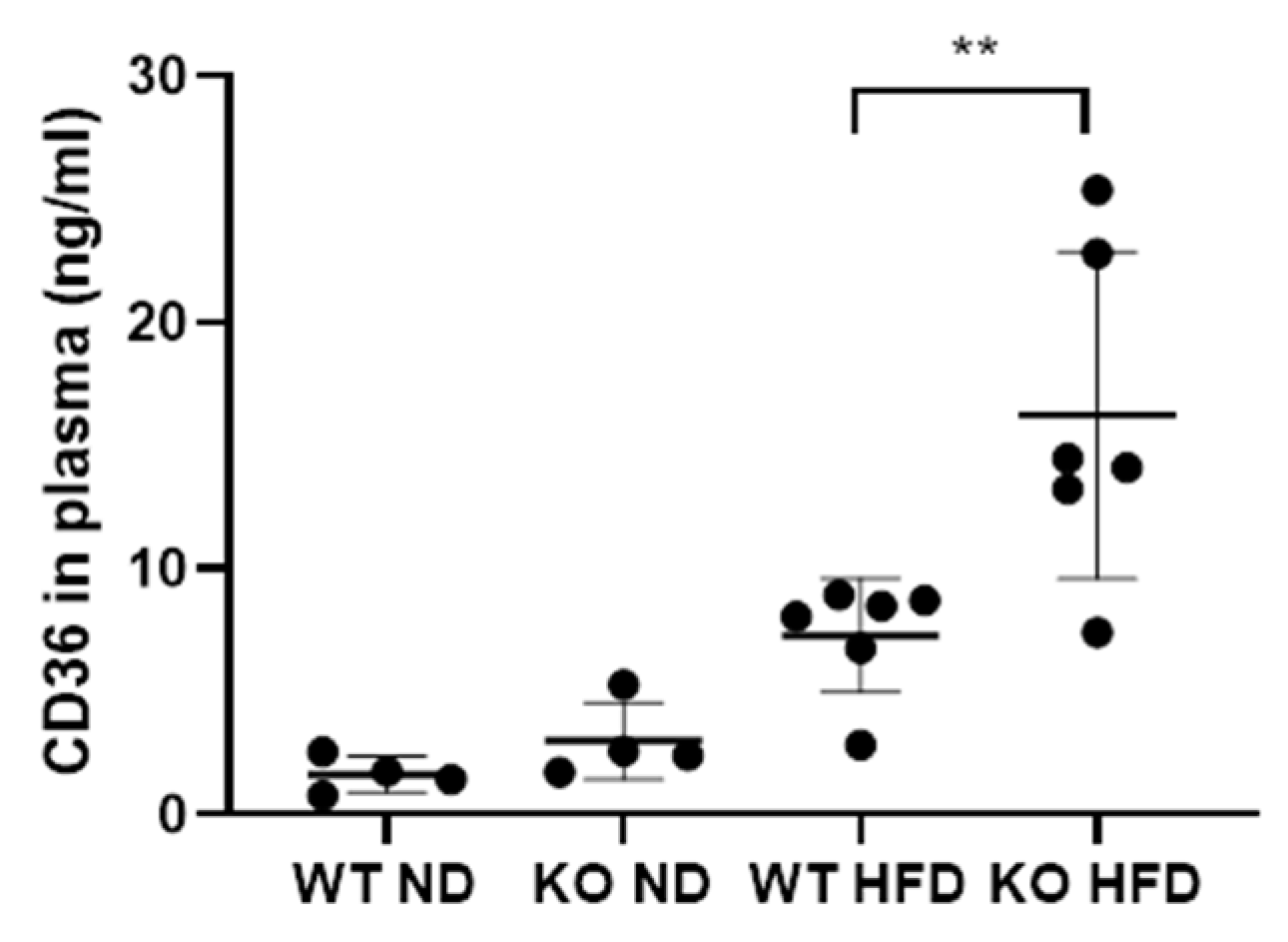 Medicina 56 00484 g005 Medicina 56 00484 g005