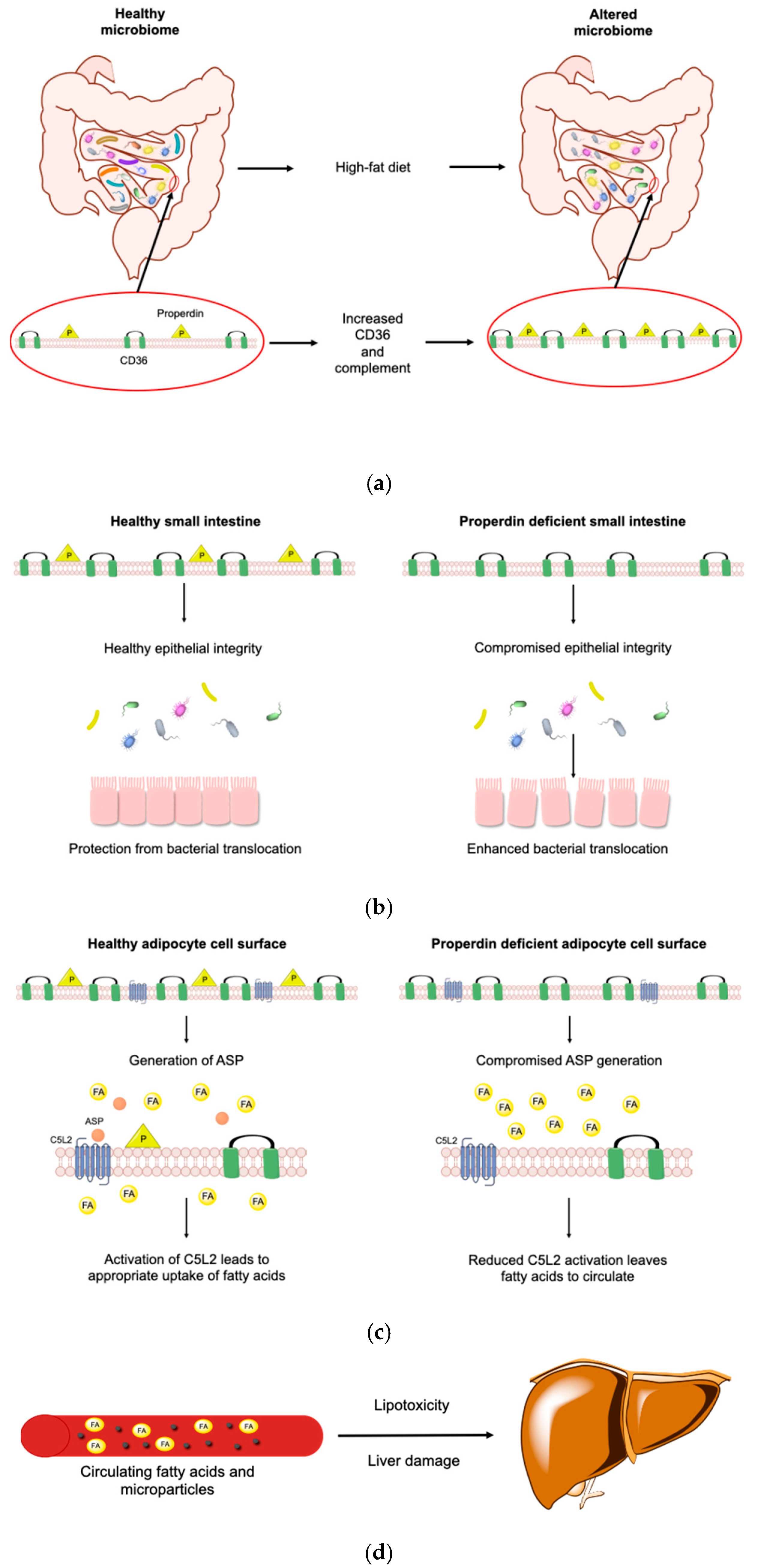 Medicina 56 00484 g009 Medicina 56 00484 g009