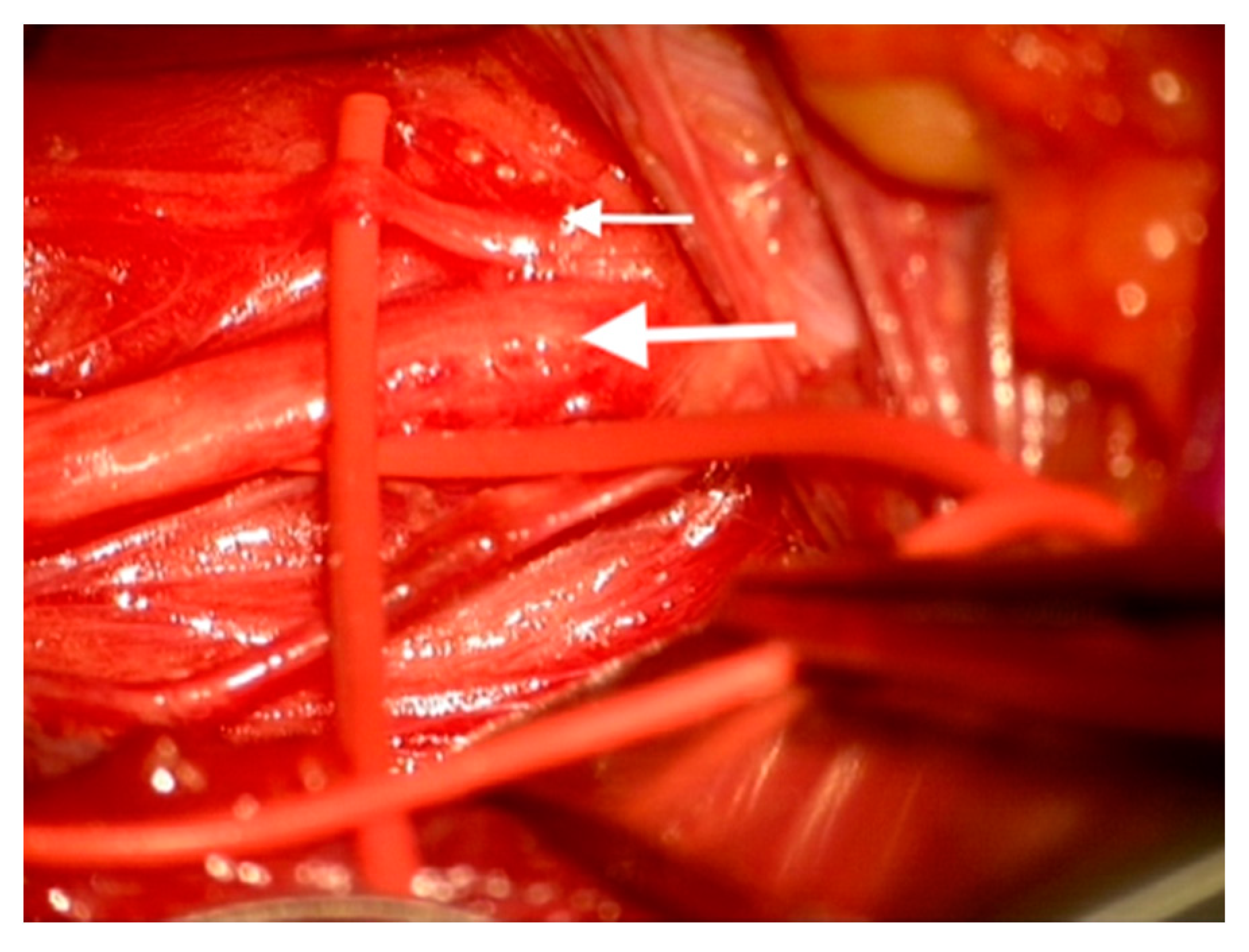 Medicina 56 00489 g001