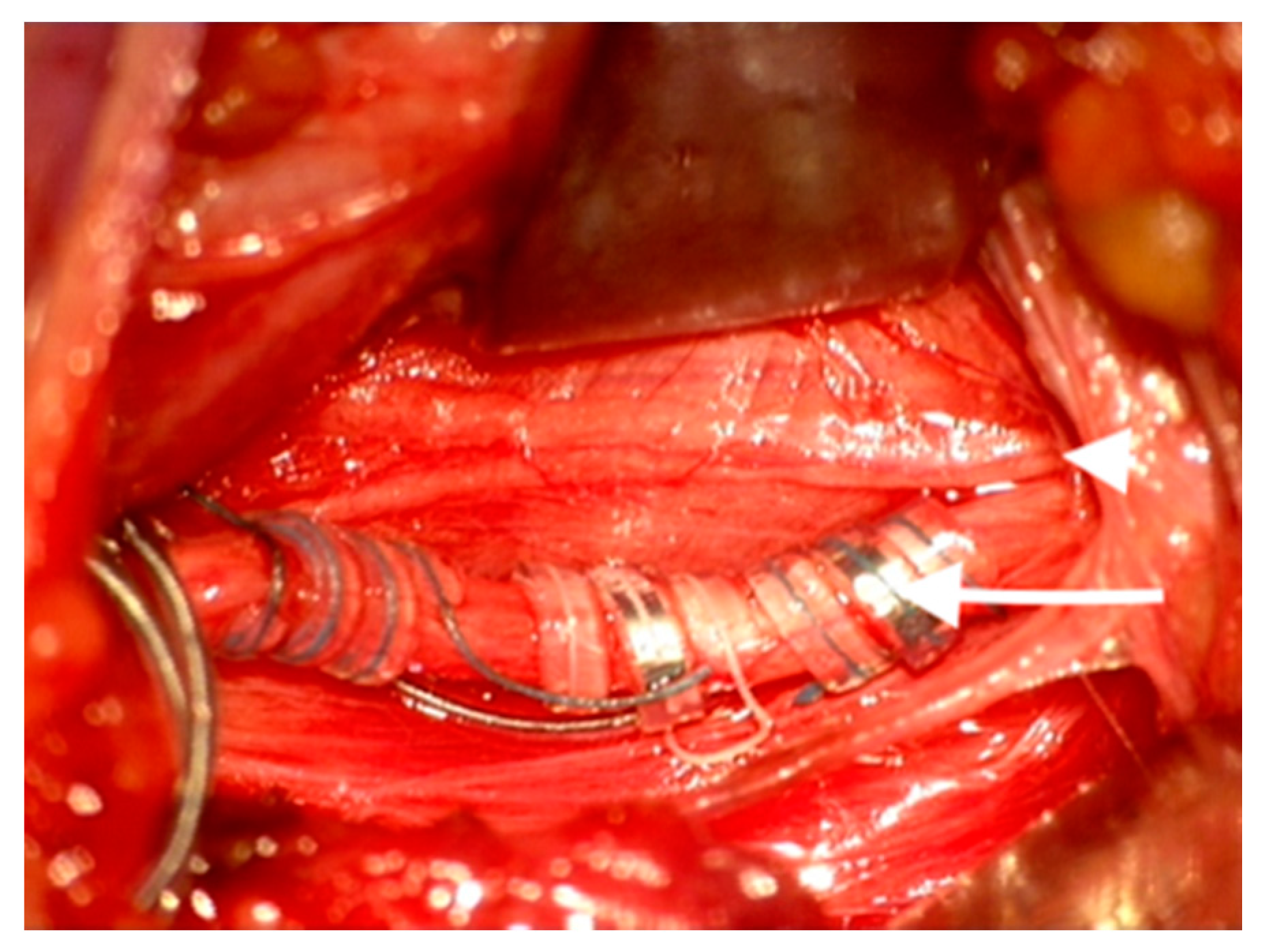 Medicina 56 00489 g002