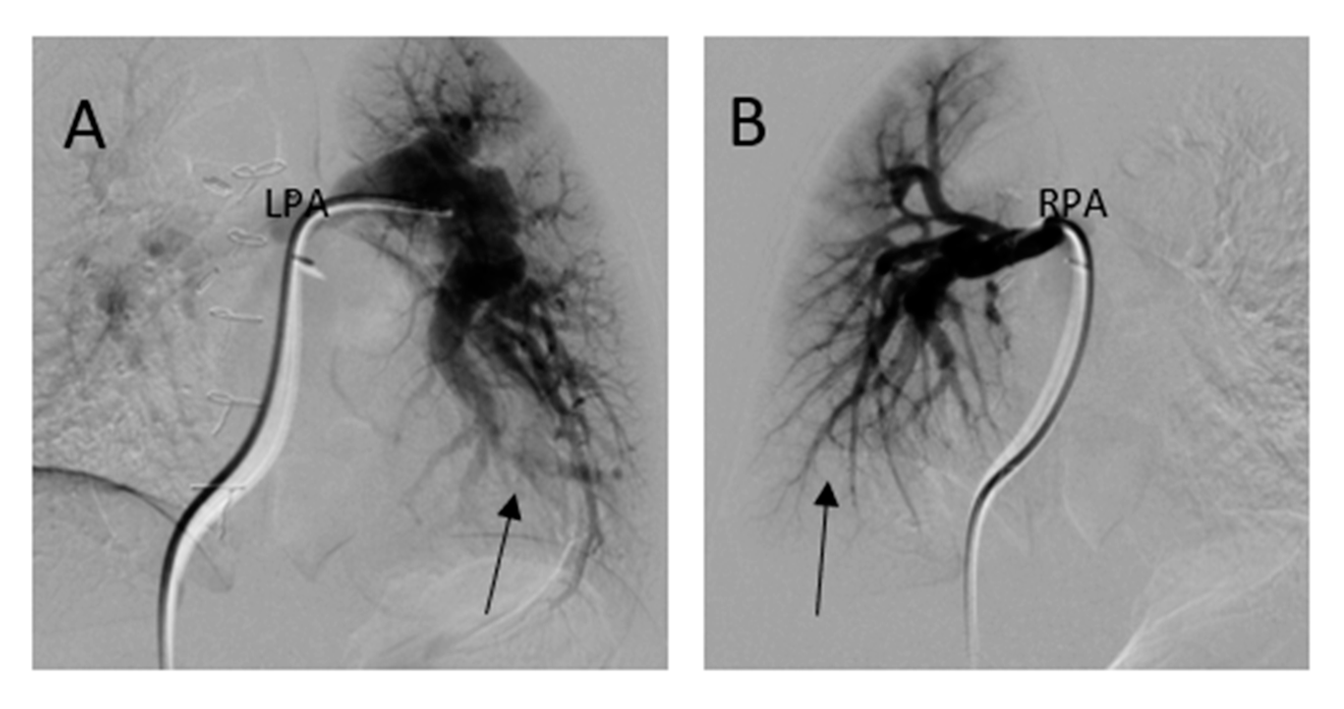 Medicina 56 00492 g009