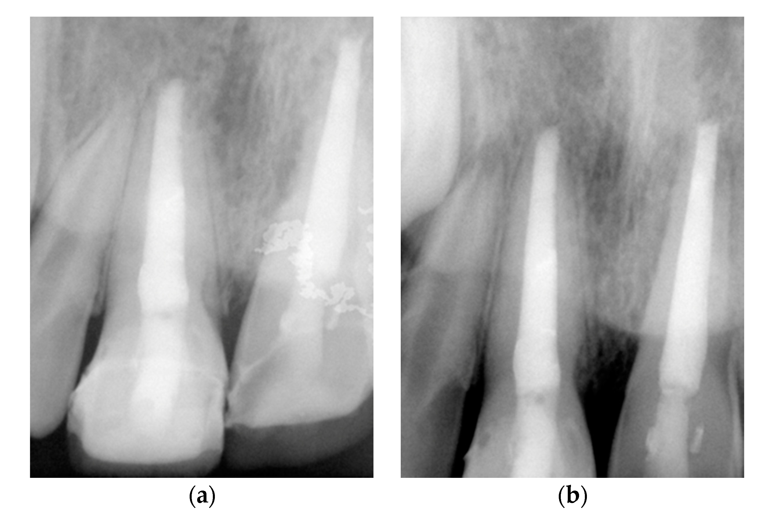 Medicina 56 00503 g003