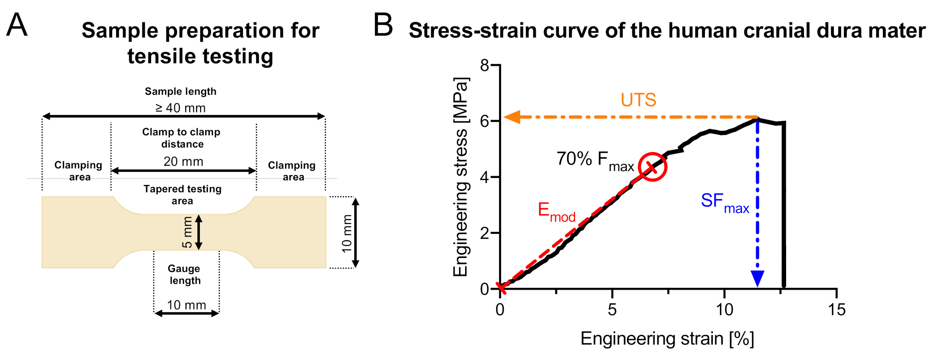 Medicina 56 00520 g002