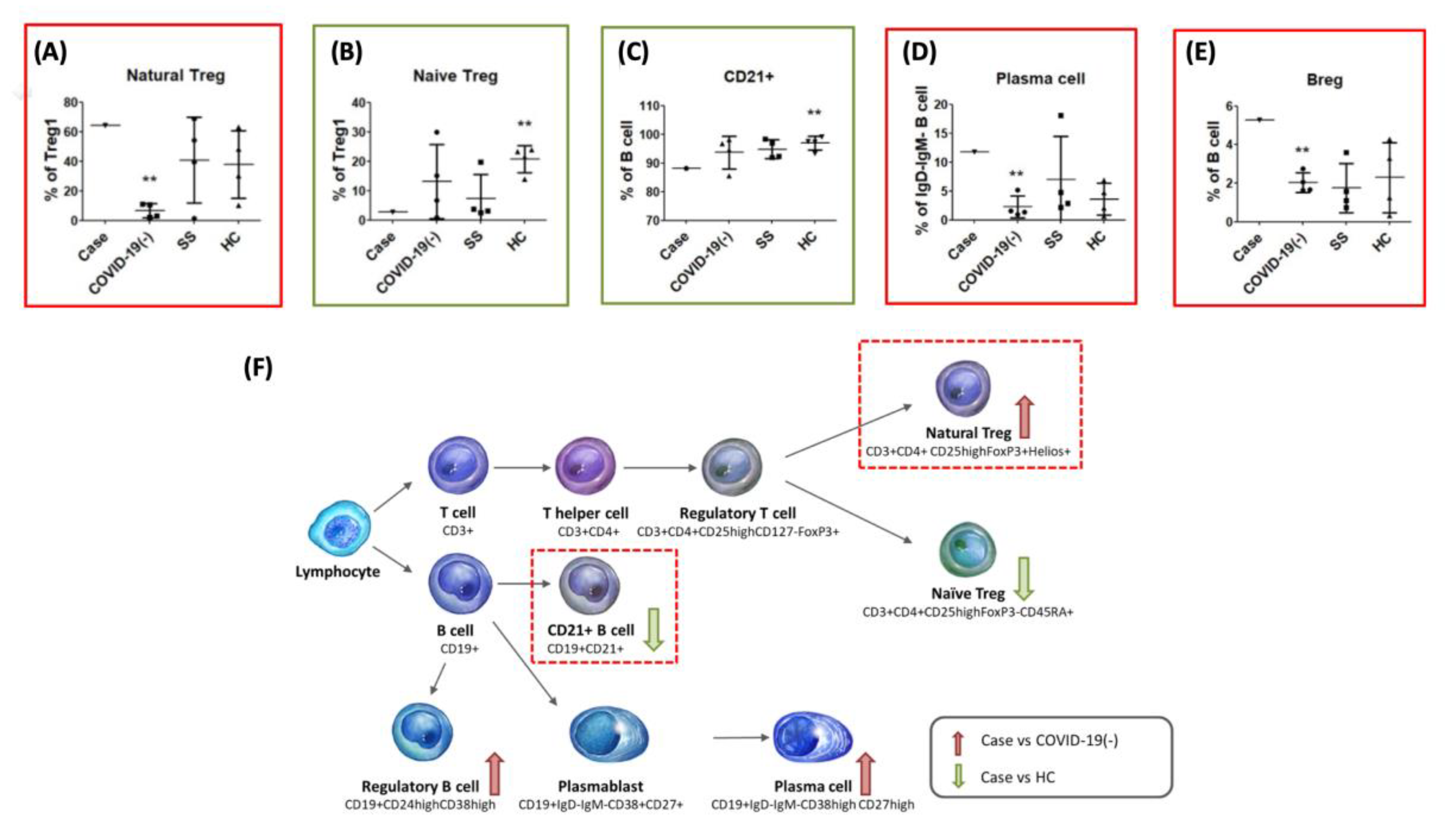 Medicina 56 00521 g002 Medicina 56 00521 g002