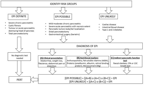Medicina Free Full Text State Of The Art In Exocrine Pancreatic Insufficiency Html Medicina Free Full Text State Of The Art In Exocrine Pancreatic Insufficiency Html