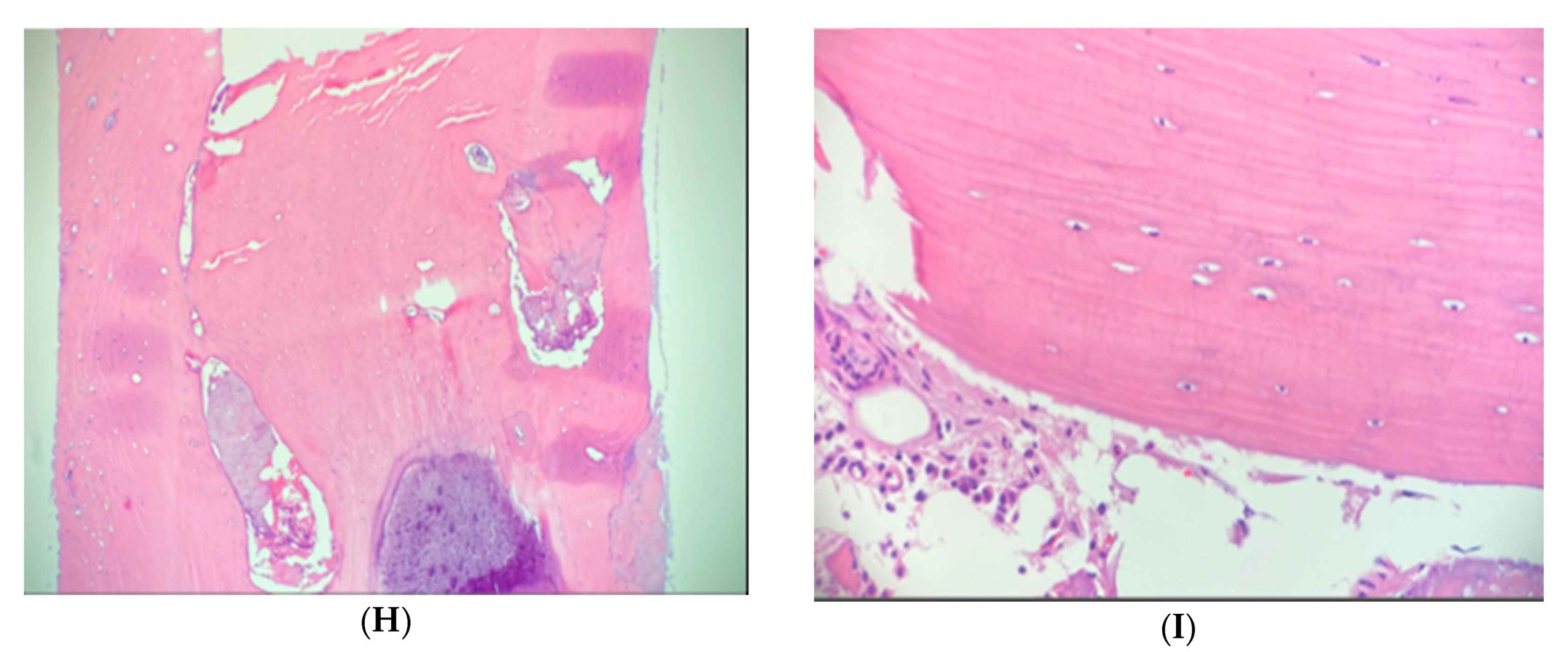 Medicina 56 00534 g004b