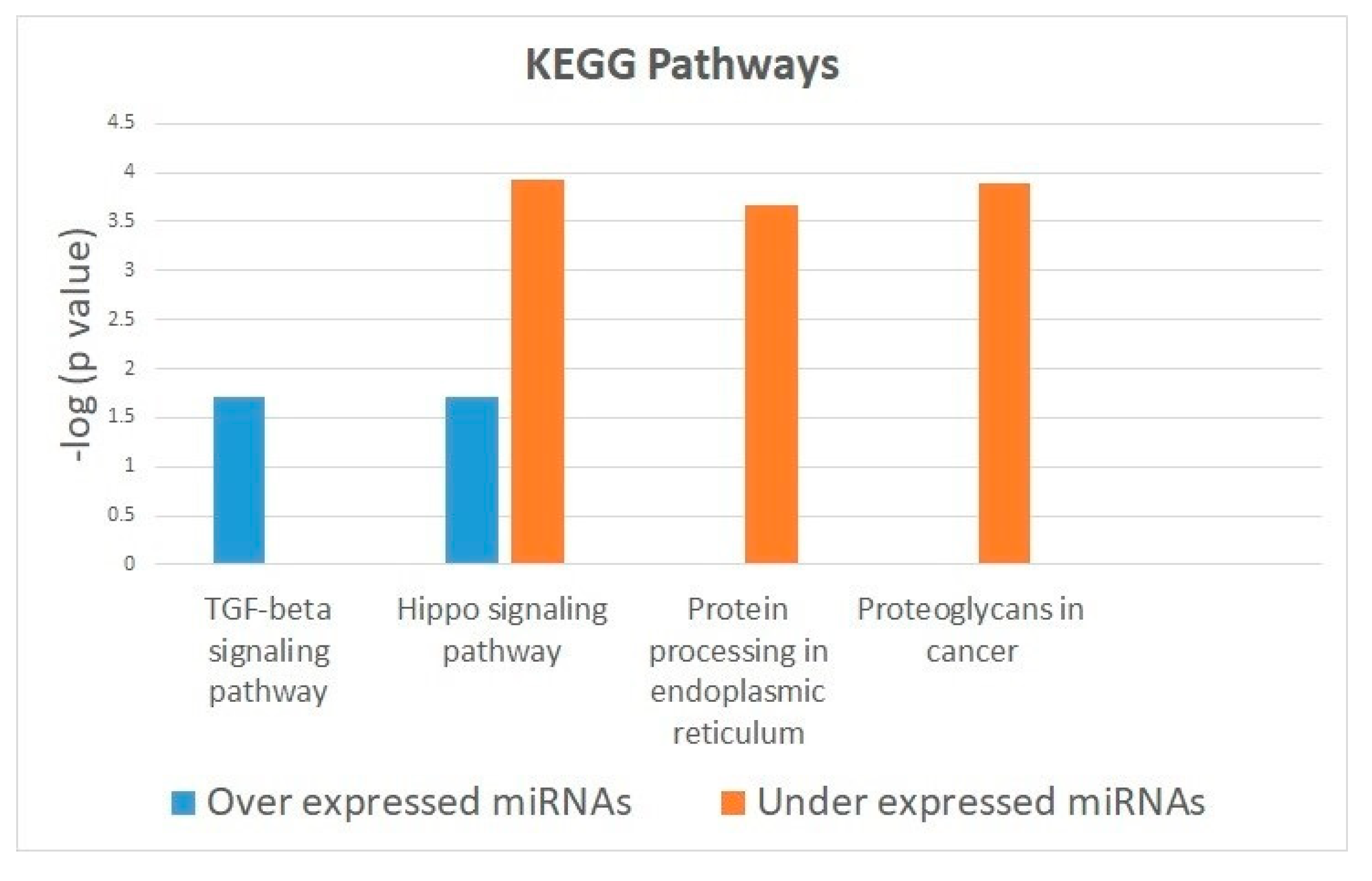 Medicina 56 00535 g001 Medicina 56 00535 g001