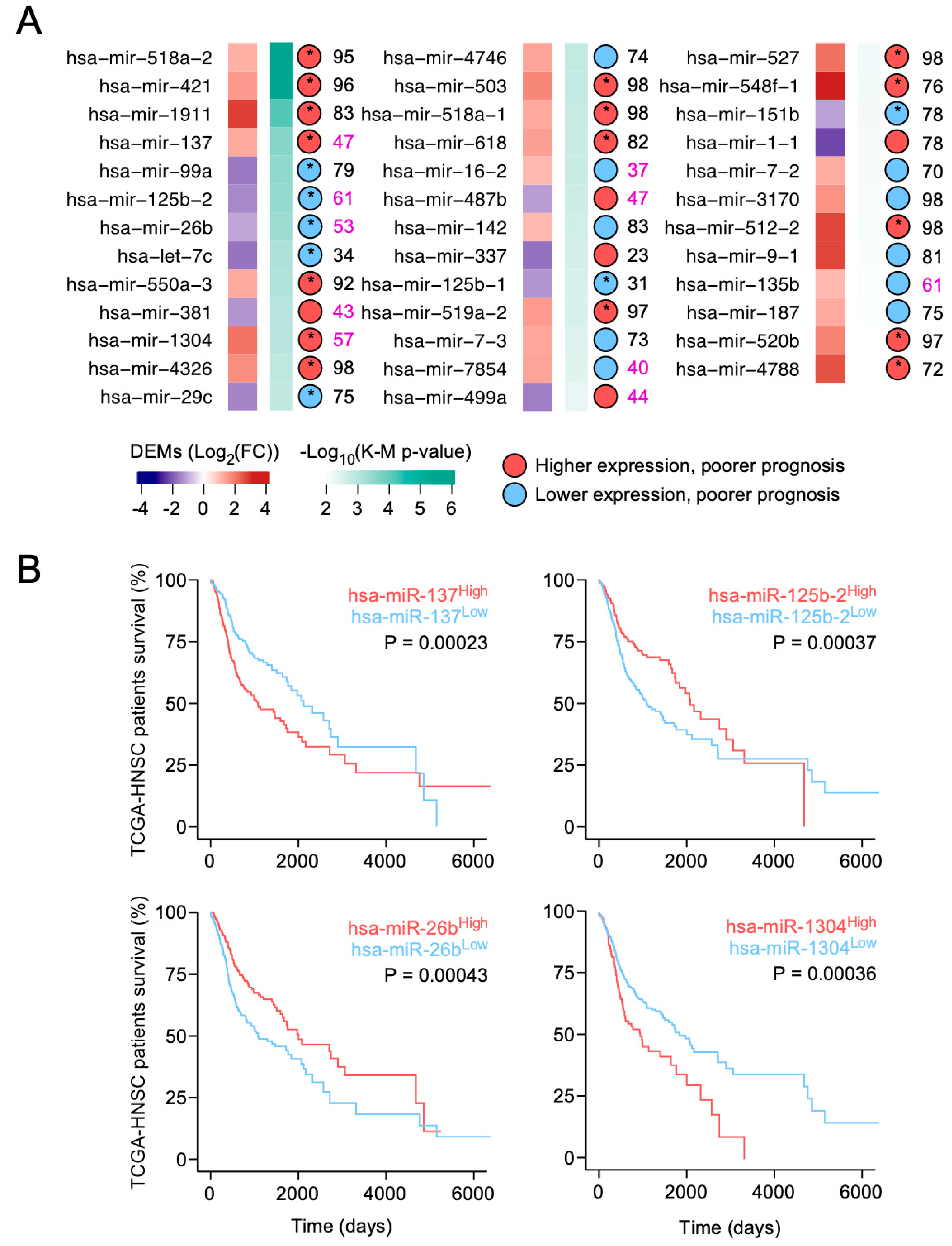 Medicina 56 00535 g003 Medicina 56 00535 g003