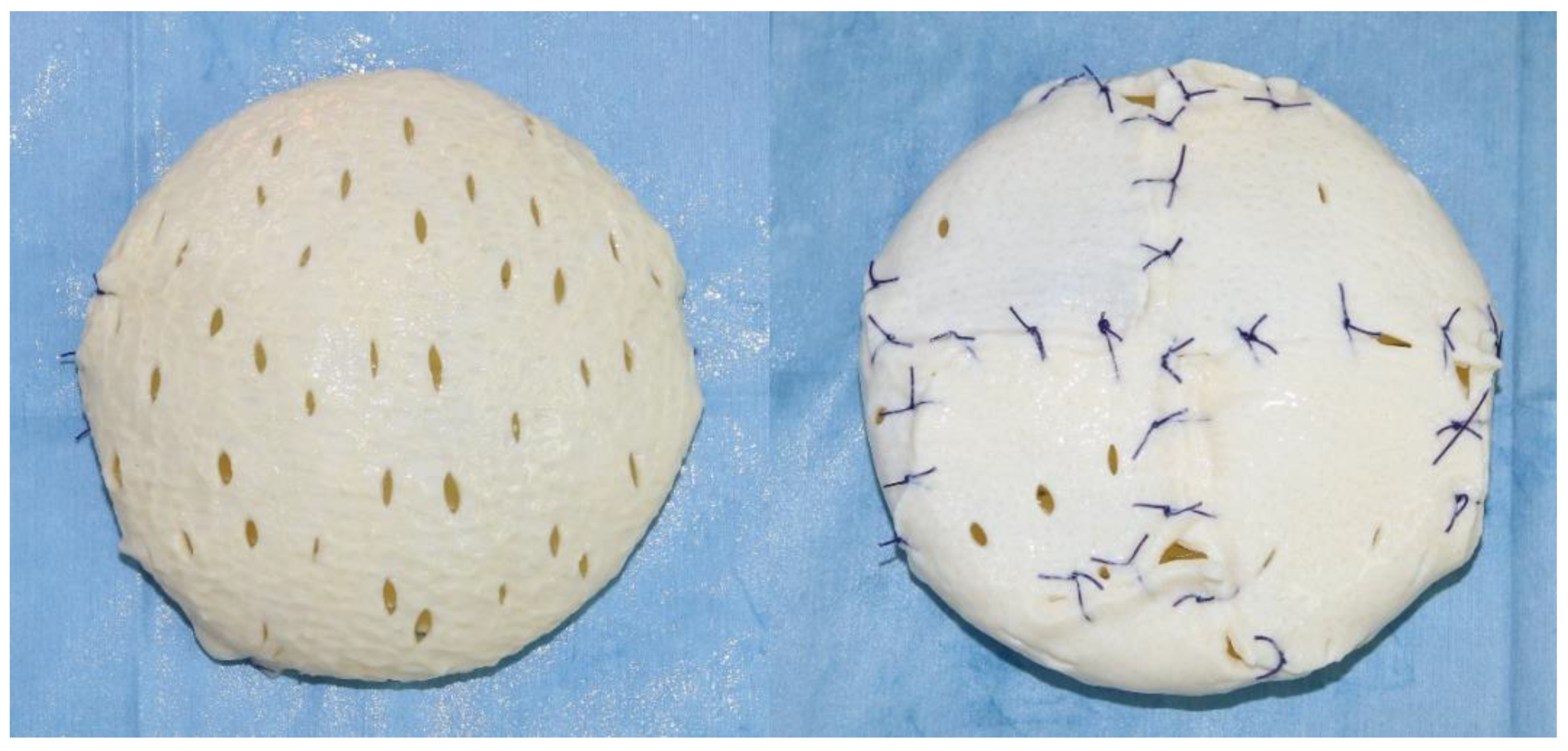 Medicina 56 00537 g001