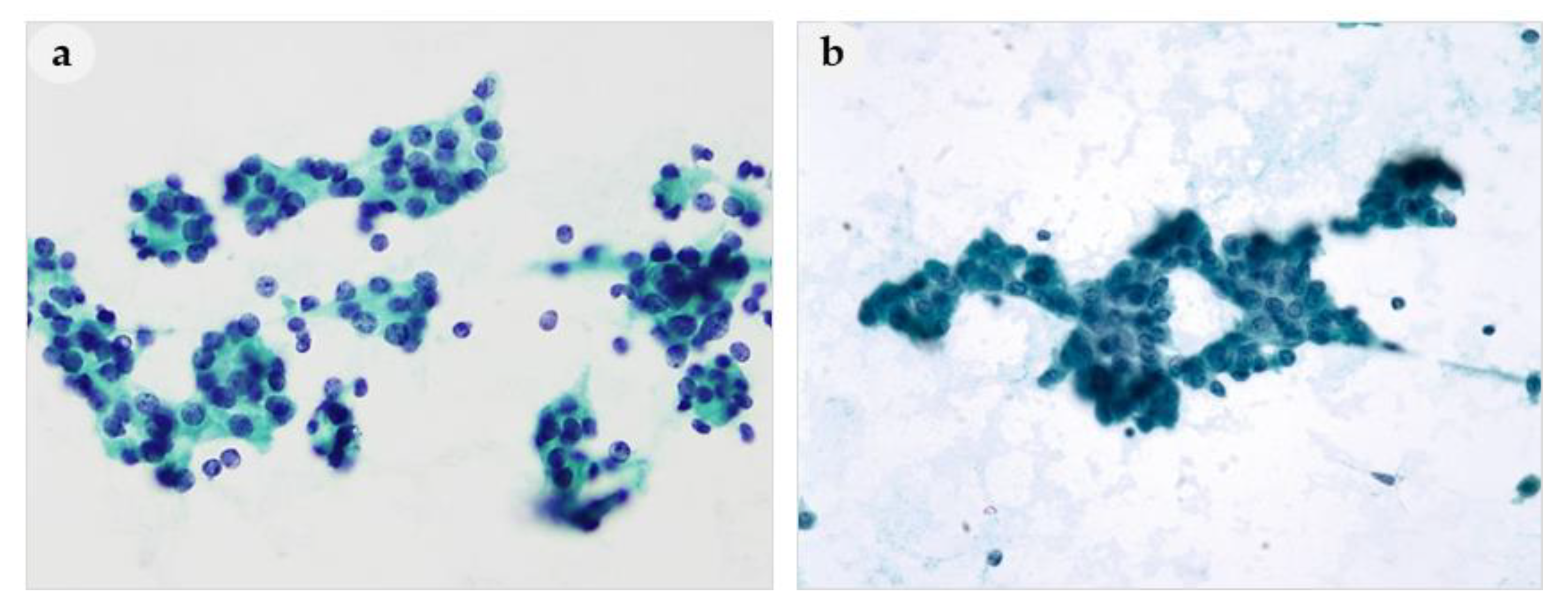 Medicina 56 00558 g001