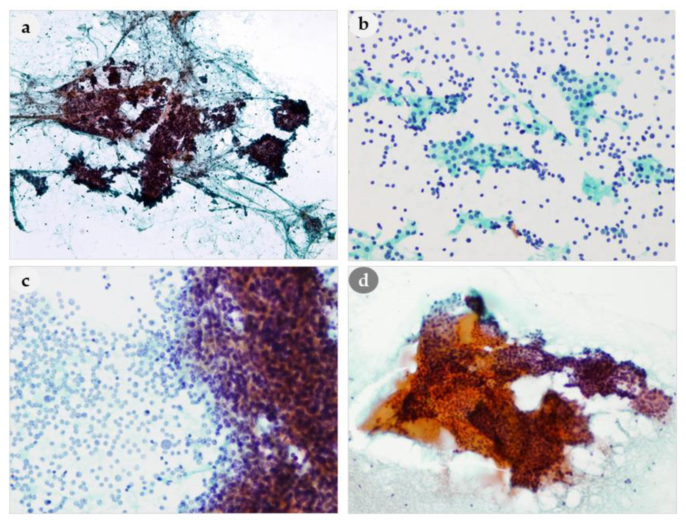 Medicina 56 00558 g003