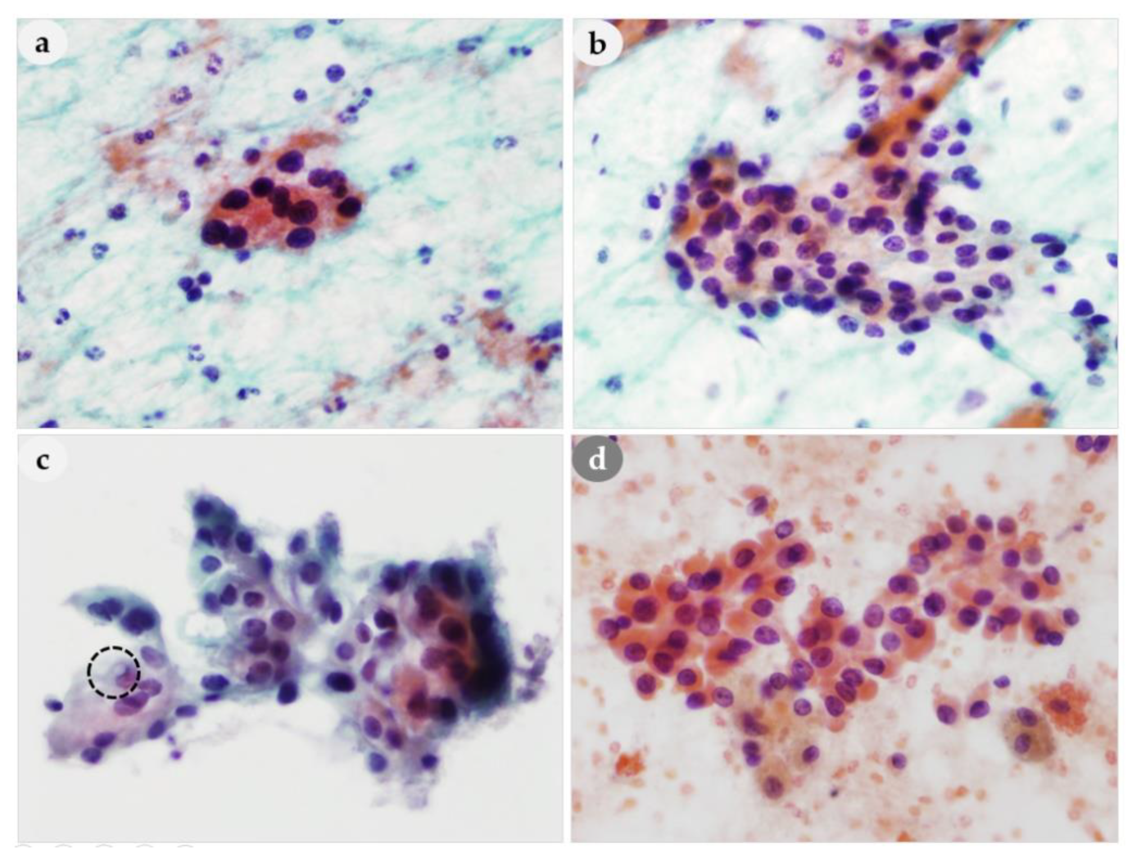 Medicina 56 00558 g005