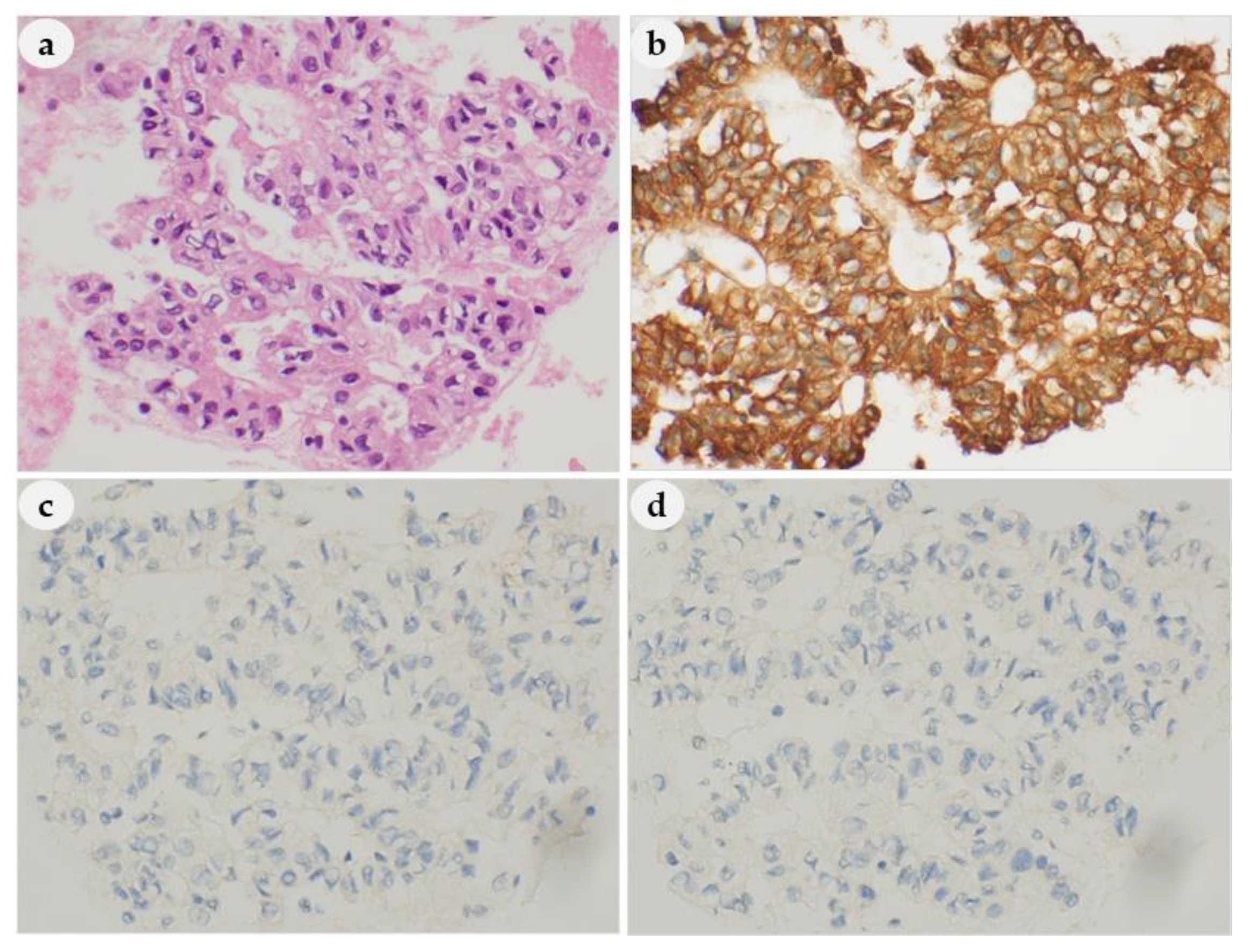 Medicina 56 00558 g007