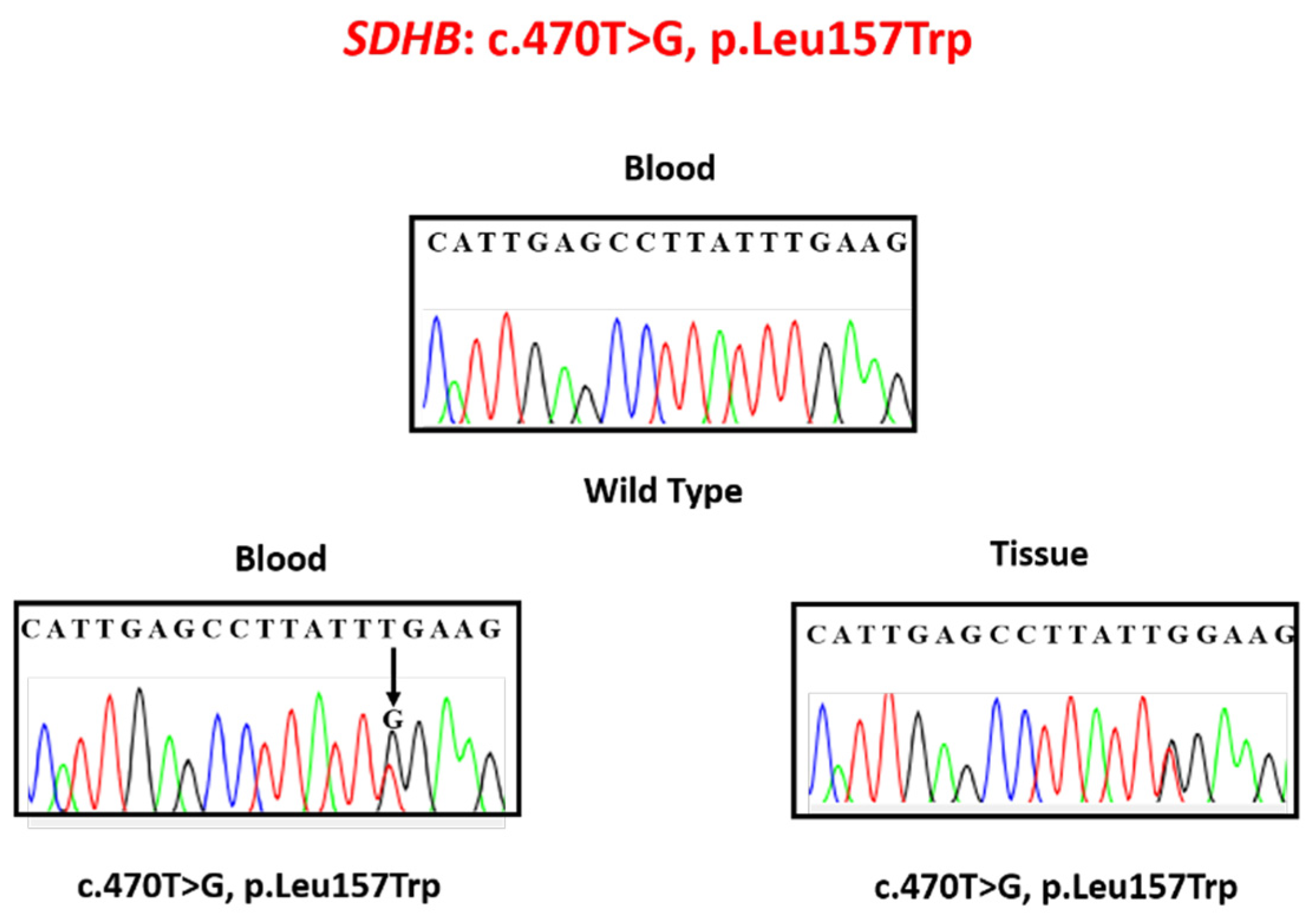 Medicina 56 00561 g002 Medicina 56 00561 g002