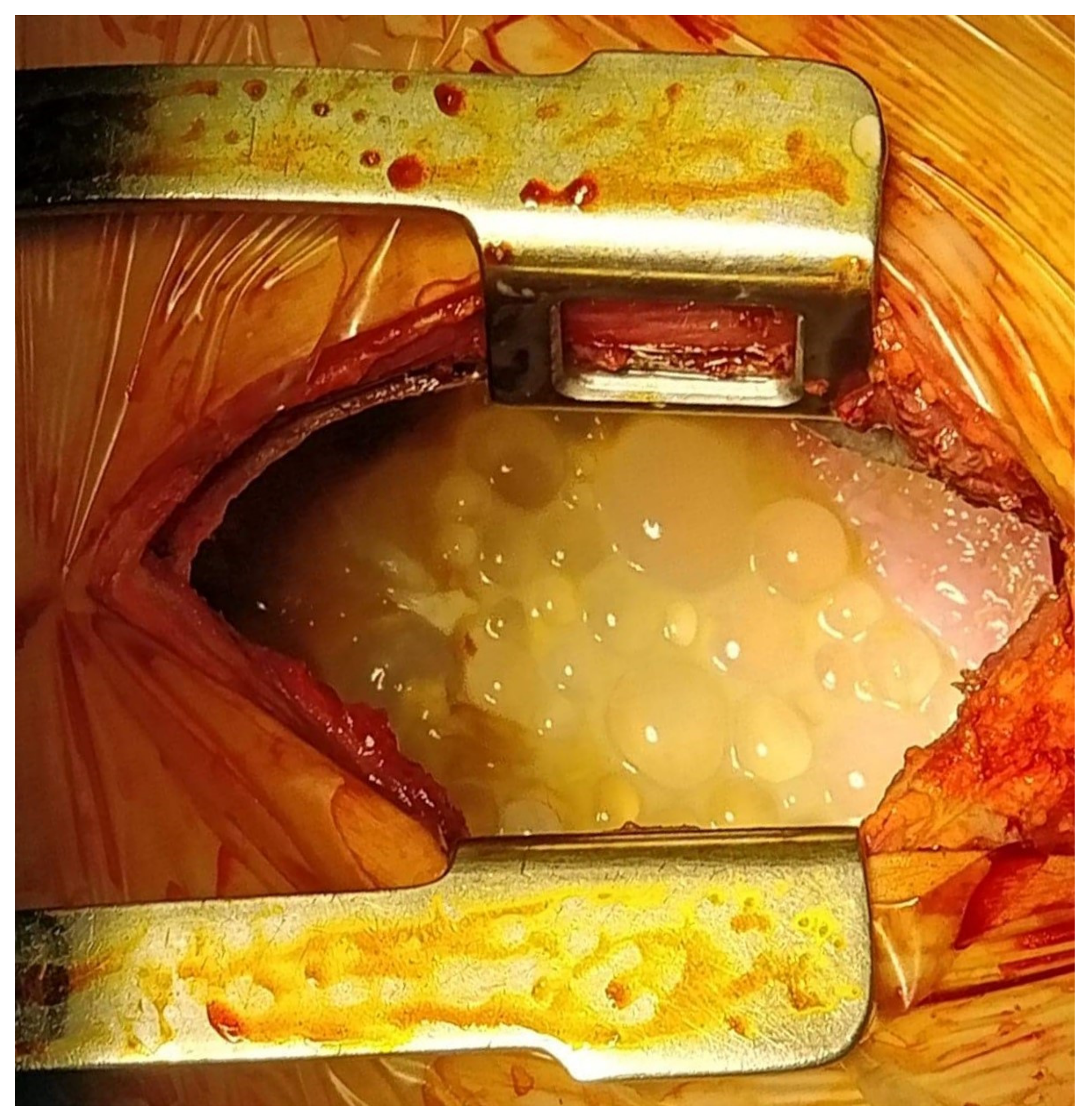 Medicina 56 00567 g002