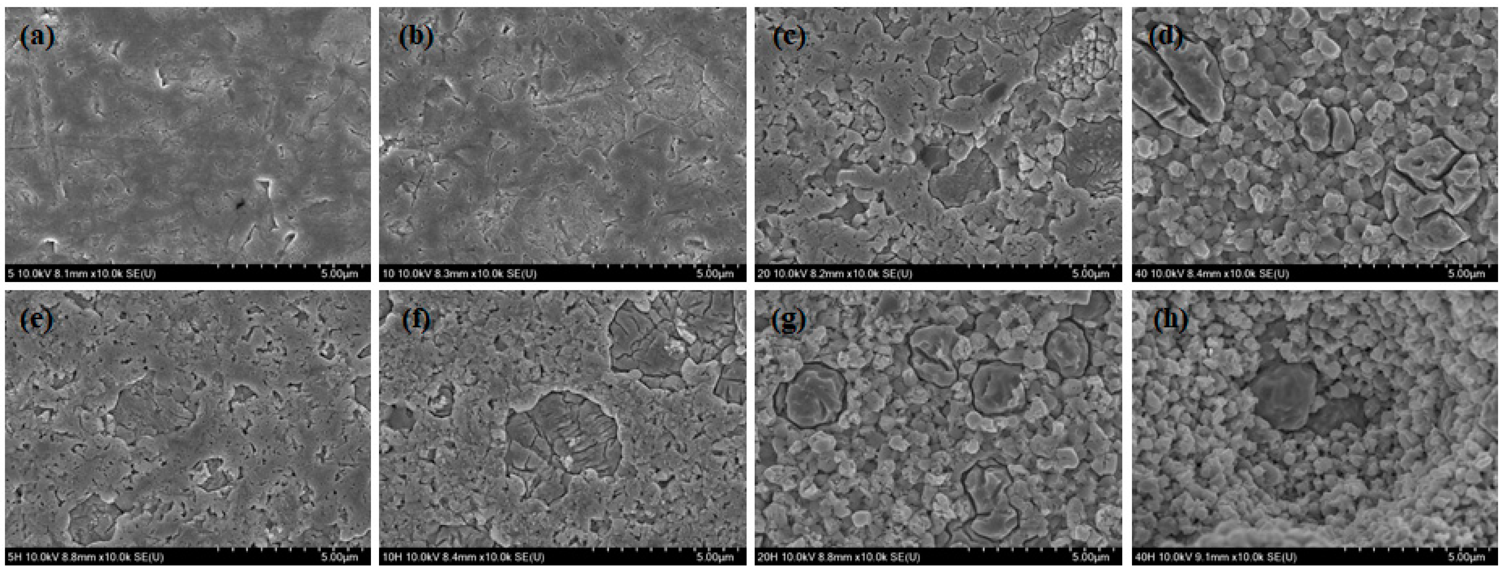 Medicina 56 00568 g003