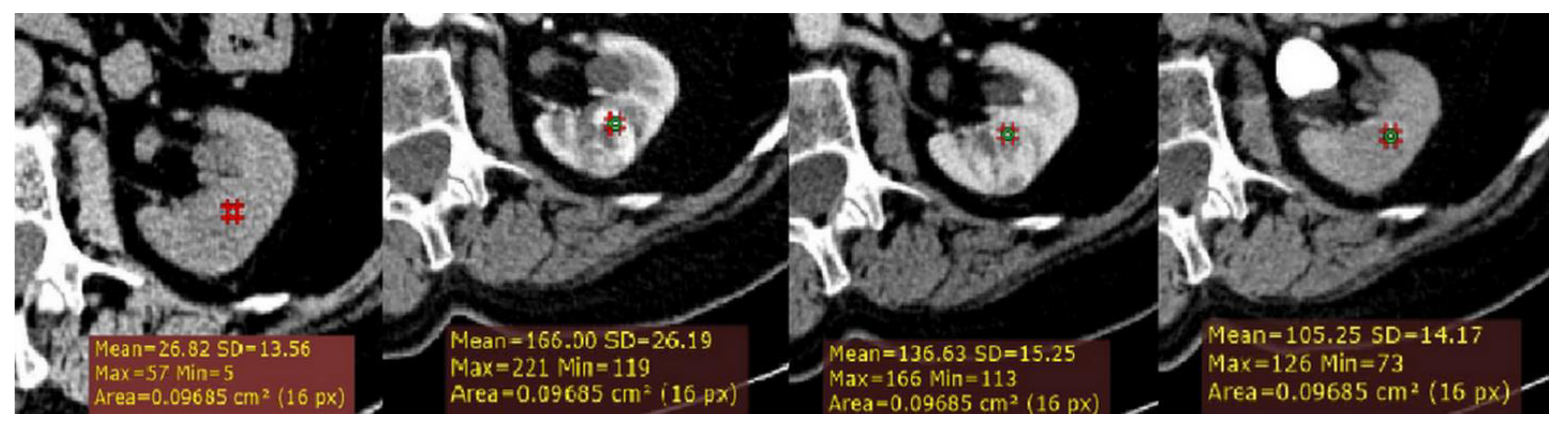 Medicina 56 00569 g001