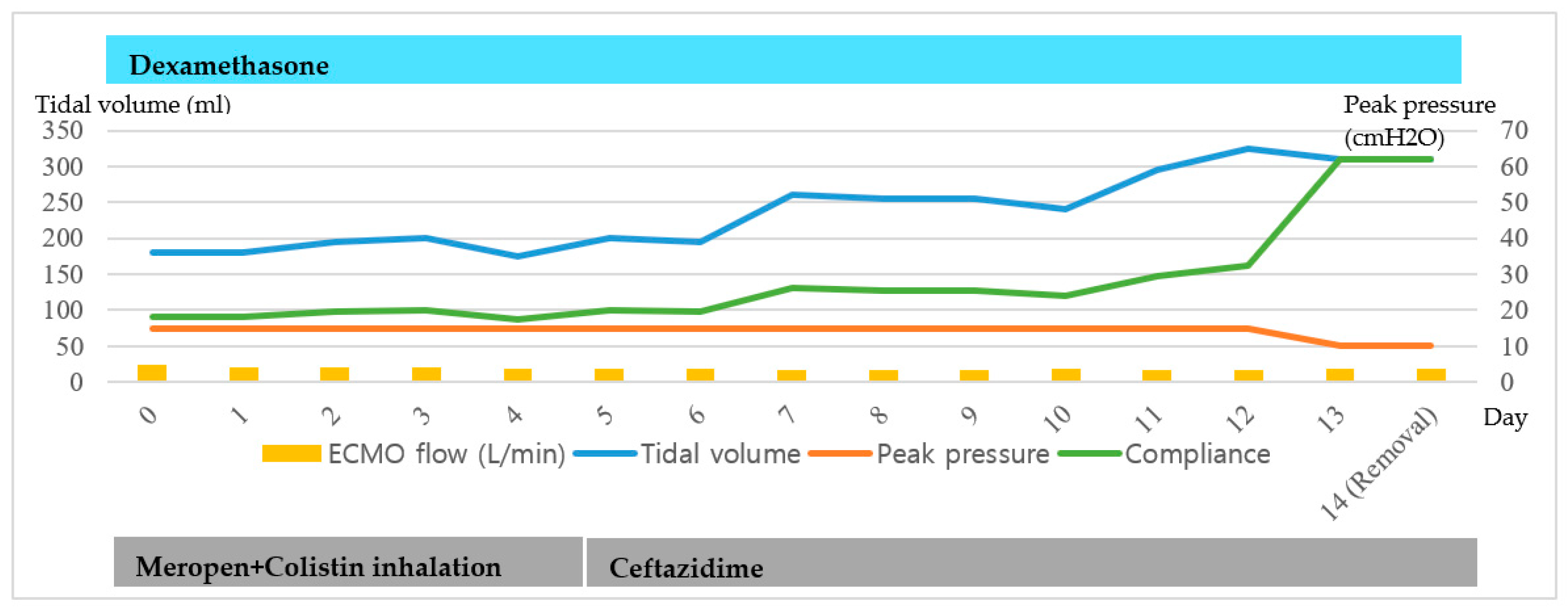 Medicina 56 00570 g001 Medicina 56 00570 g001