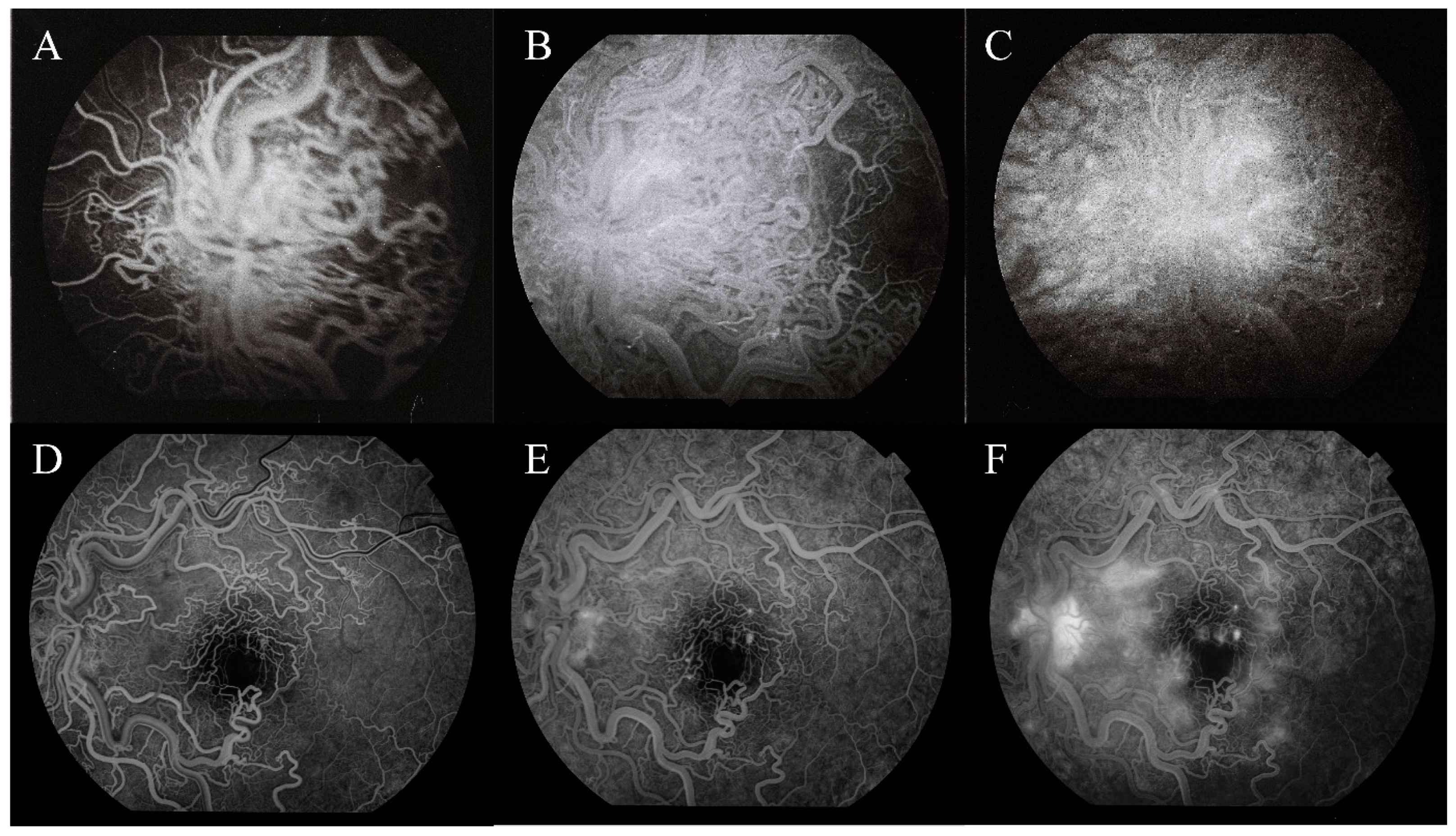 Medicina 56 00598 g002