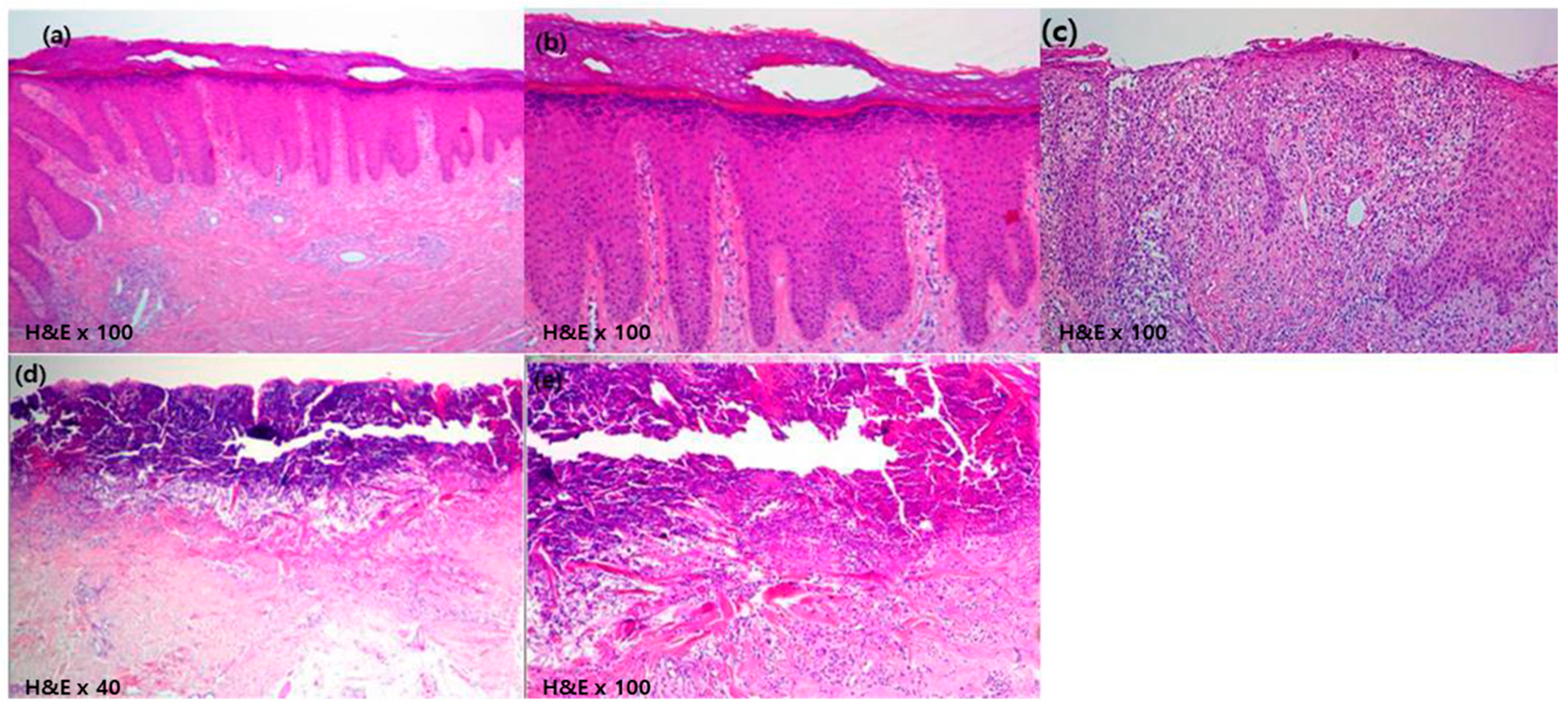 Medicina 56 00599 g002