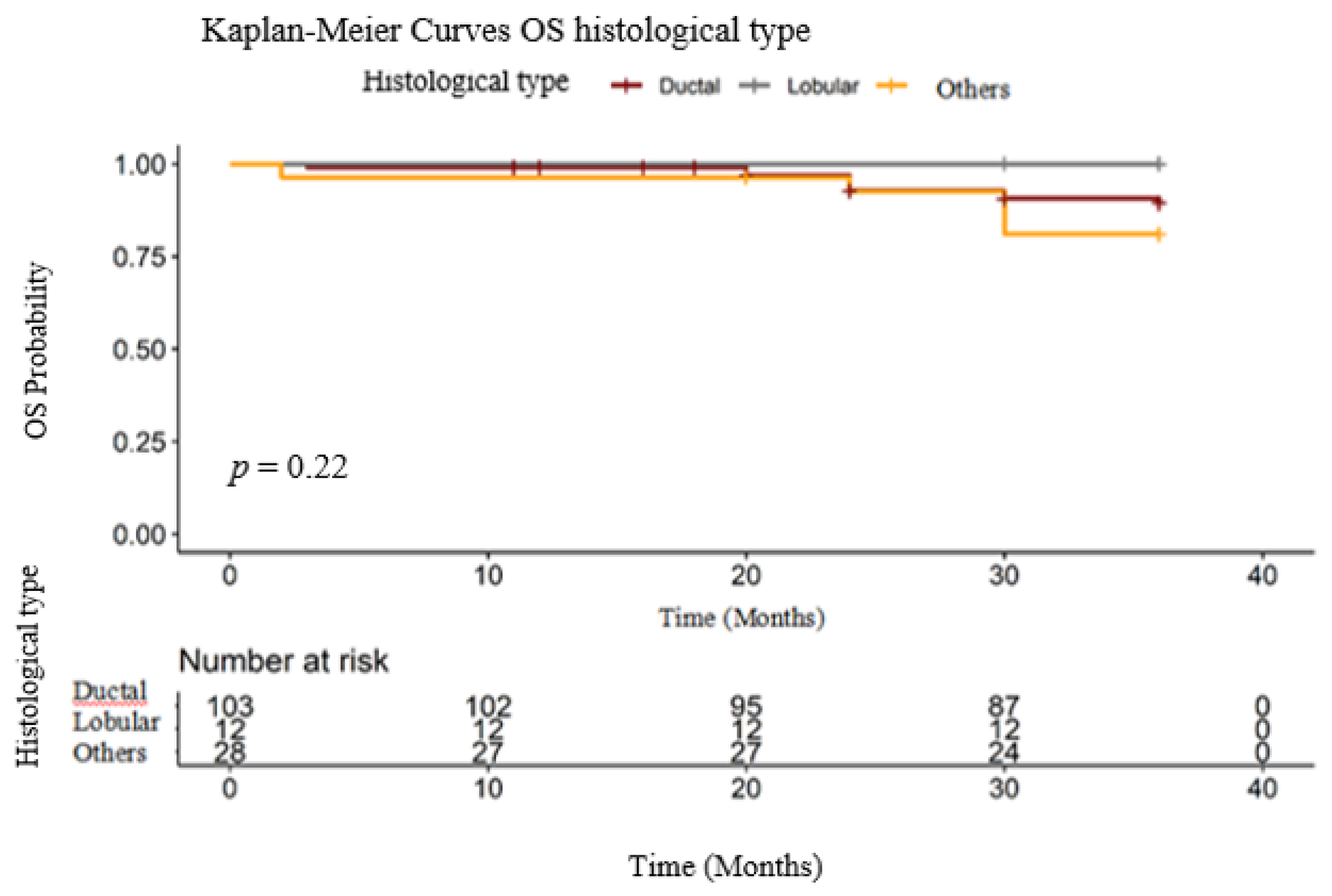 Medicina 56 00600 g003