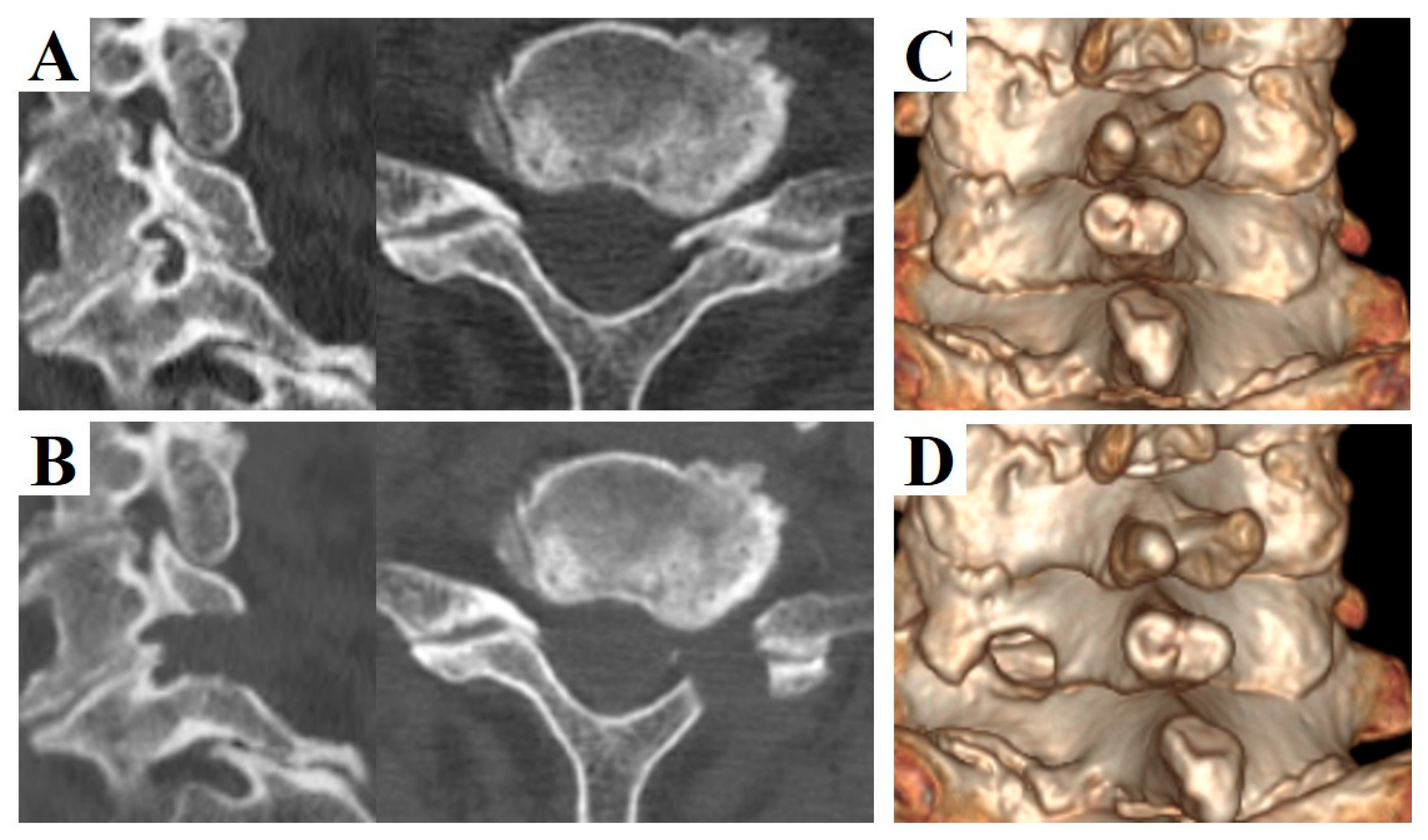 Medicina 56 00605 g001