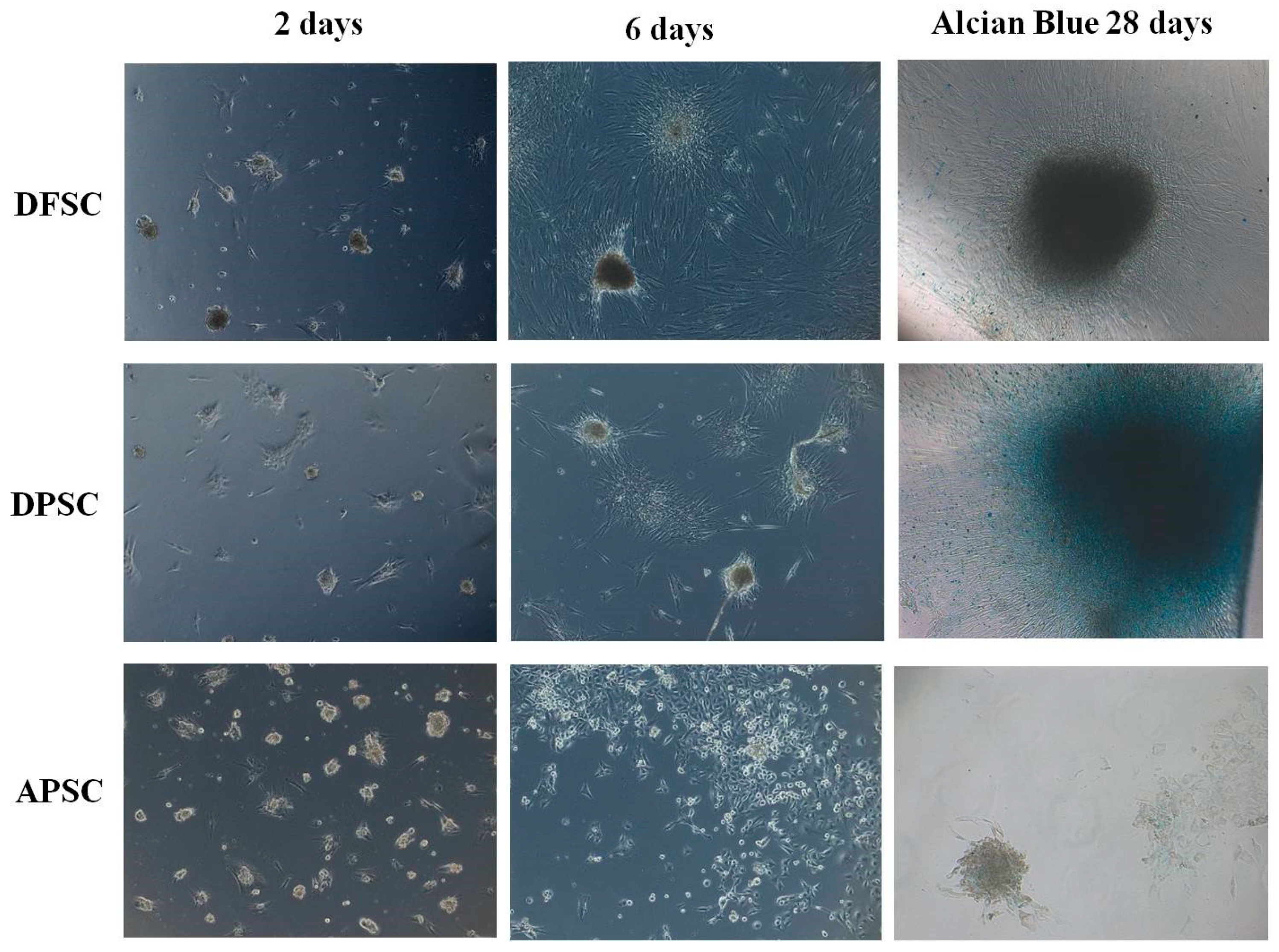 Medicina 56 00607 g005