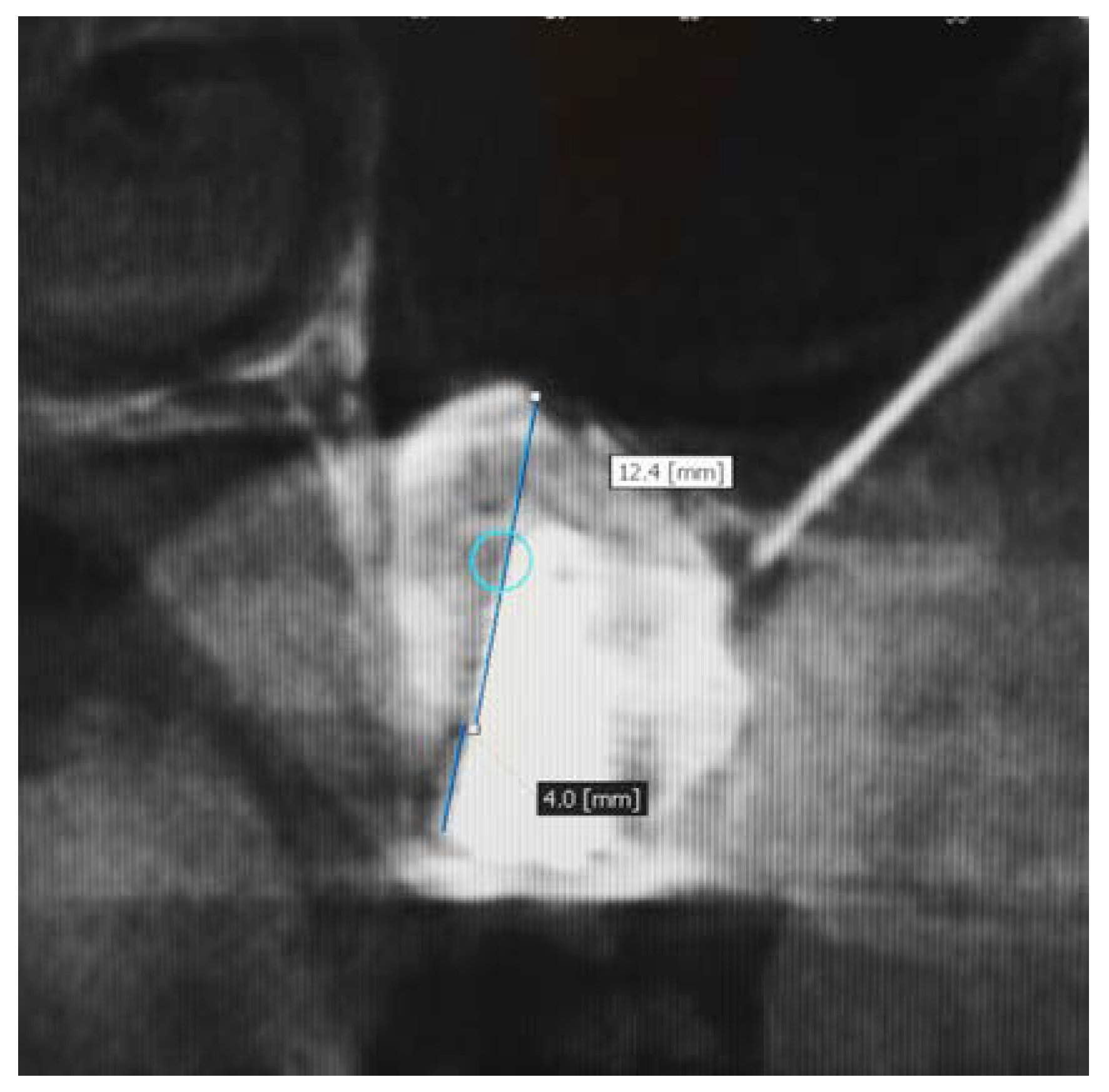 Medicina 56 00609 g003