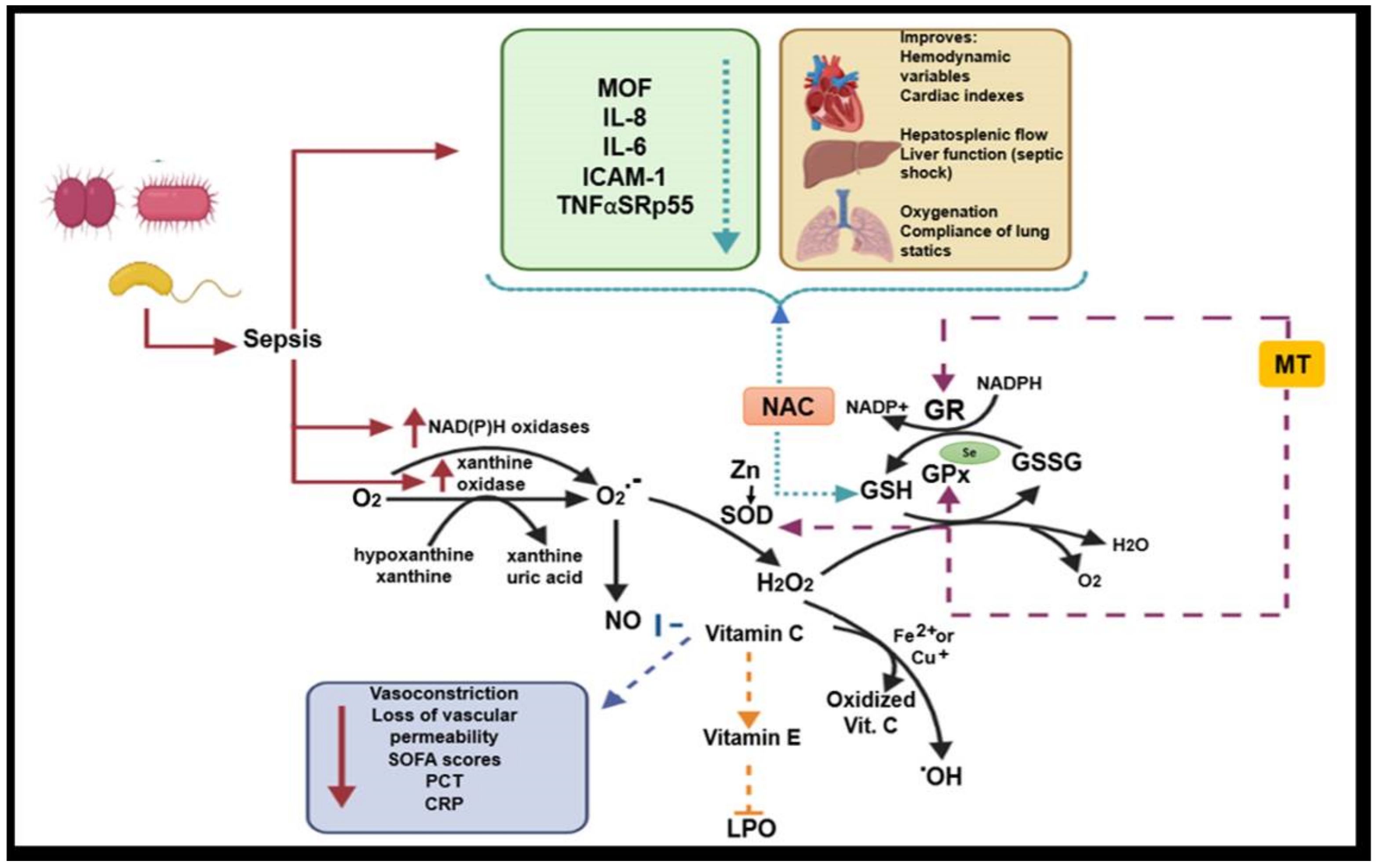 Medicina 56 00619 g005 Medicina 56 00619 g005