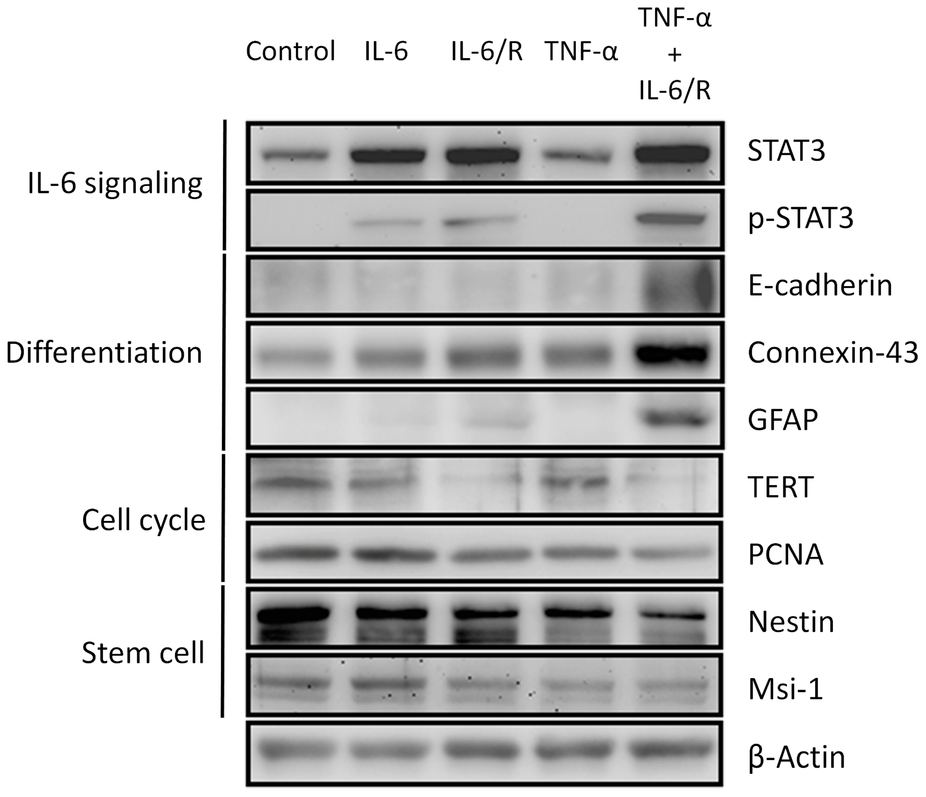 Medicina 56 00625 g002 Medicina 56 00625 g002