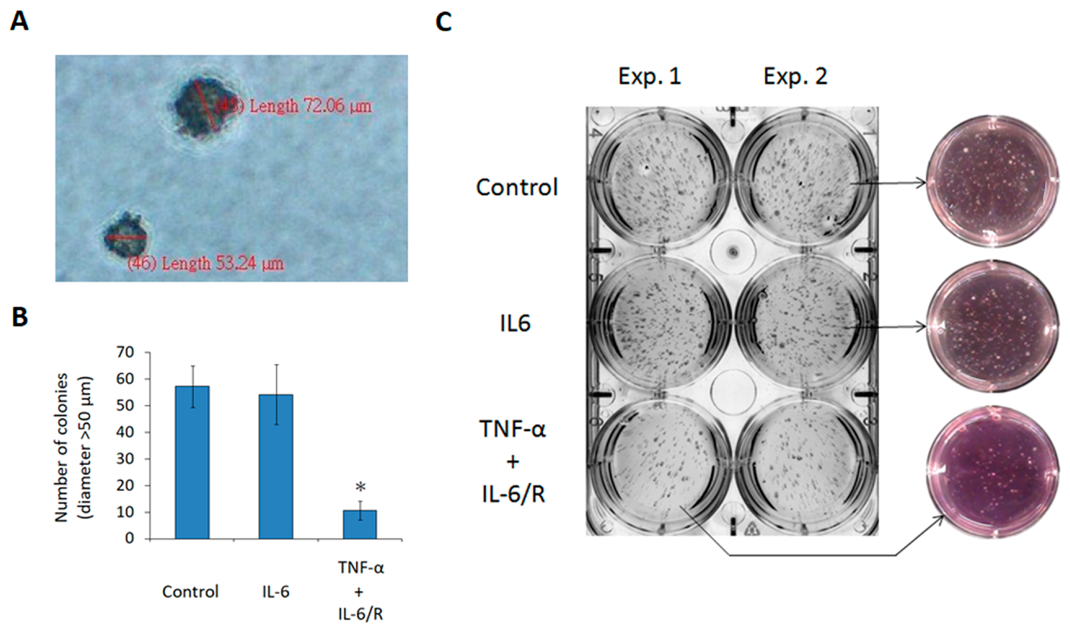 Medicina 56 00625 g005 Medicina 56 00625 g005