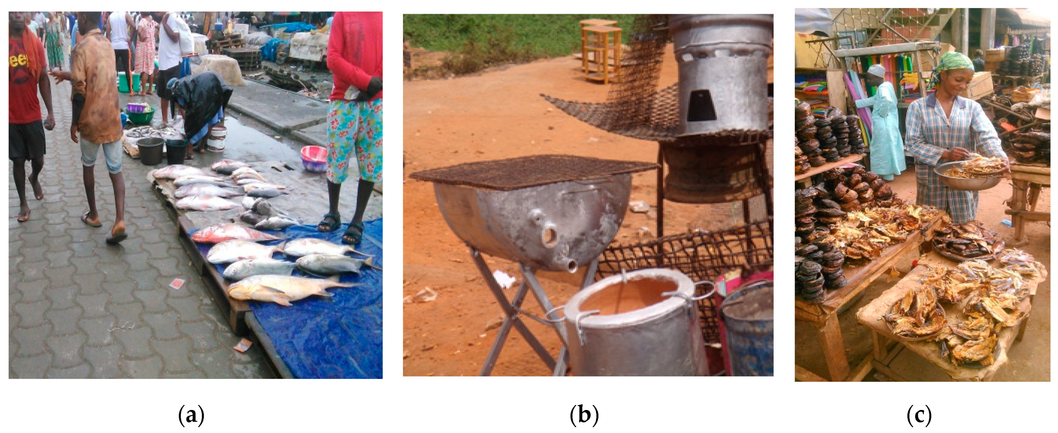 Medicina 56 00629 g011