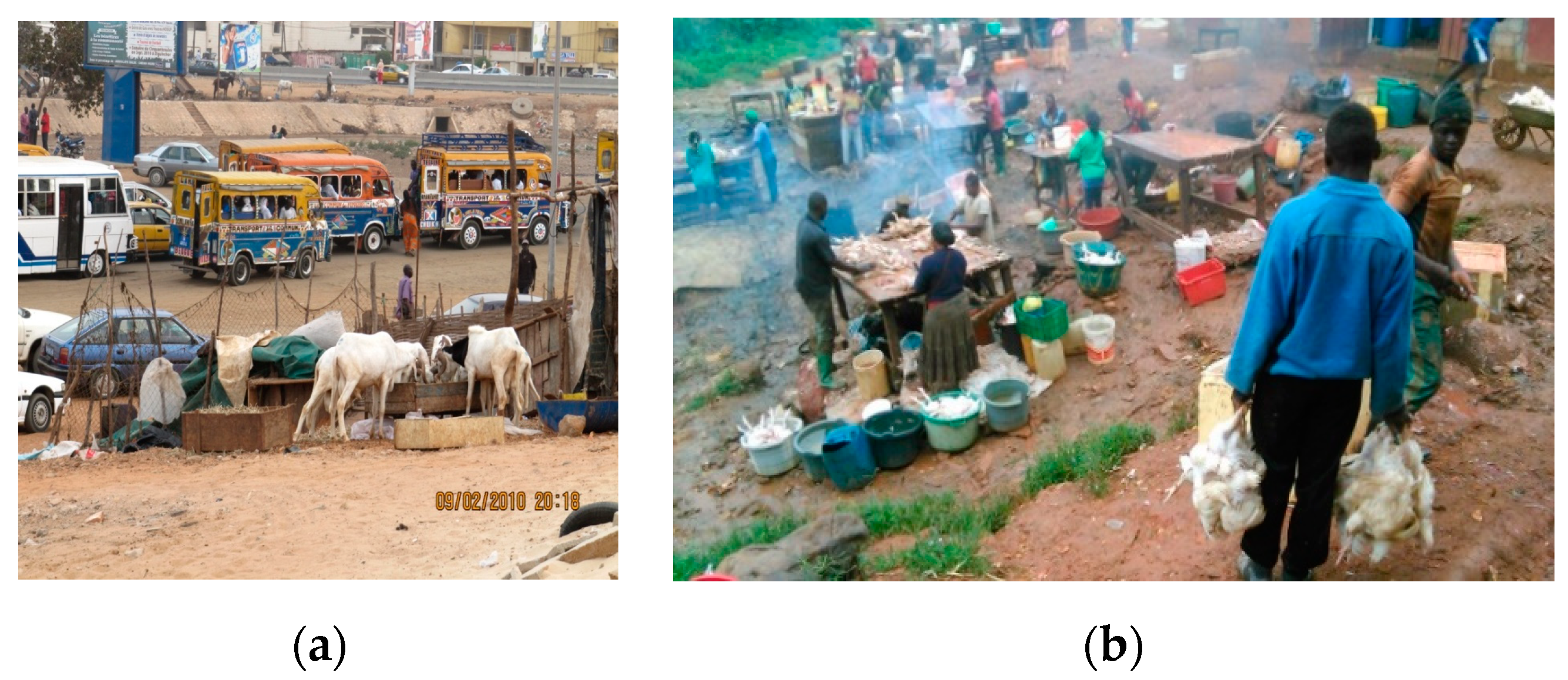 Medicina 56 00629 g013