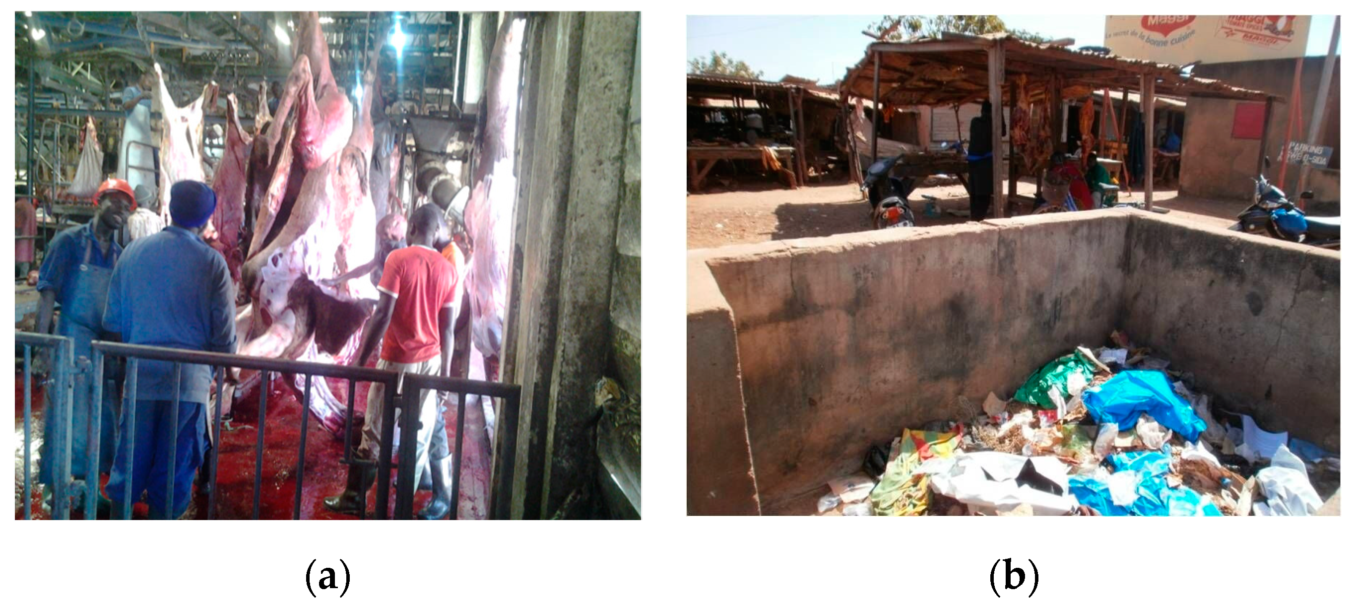 Medicina 56 00629 g014