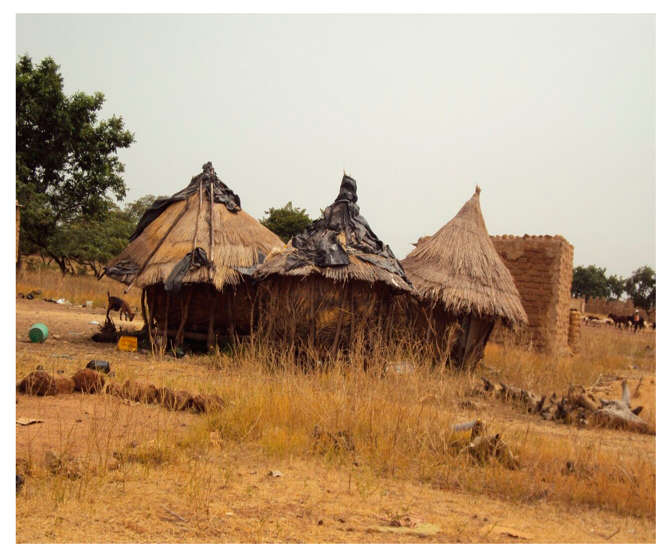 Medicina 56 00629 g016