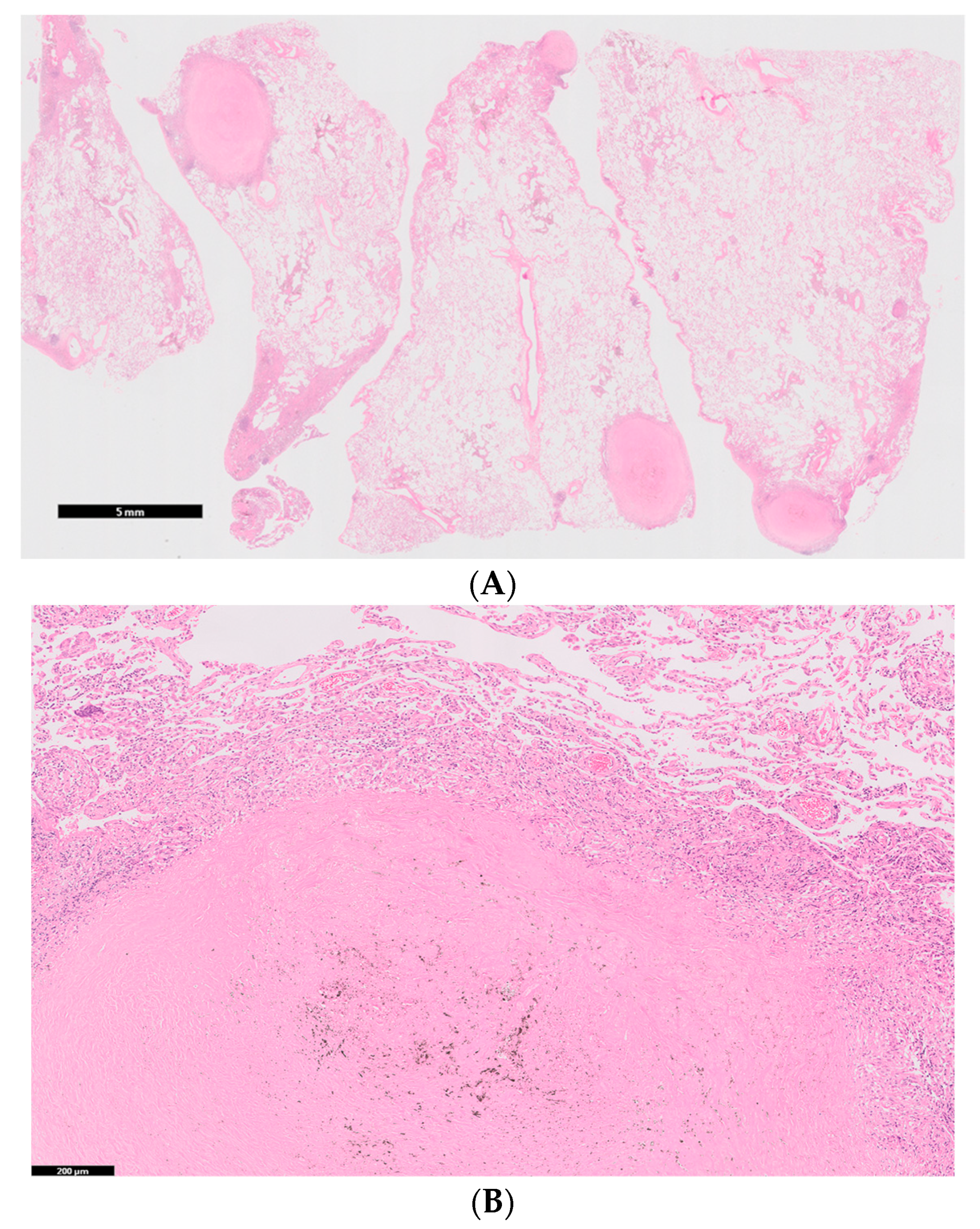 Medicina 56 00630 g003a